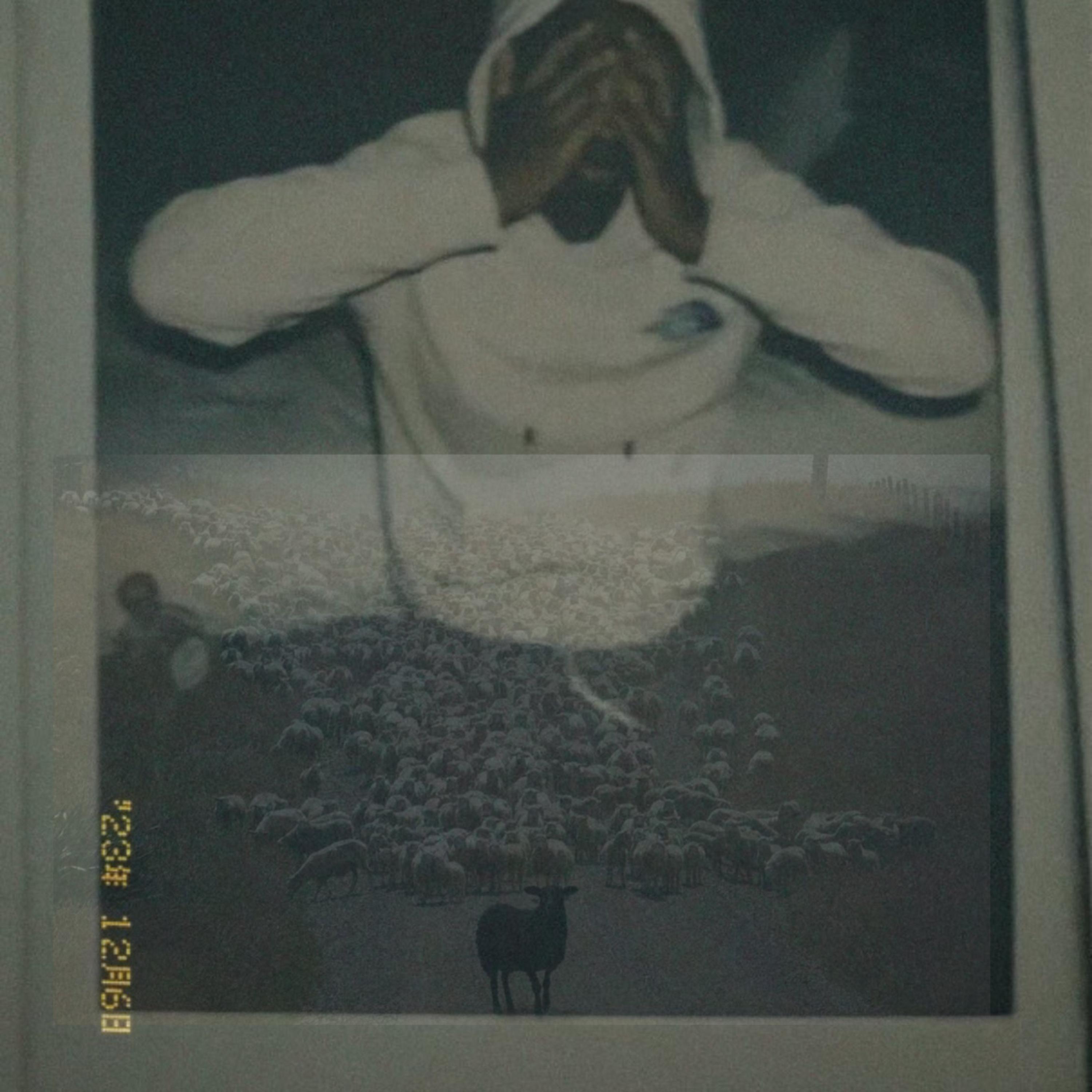 Fresh Off Top artwork