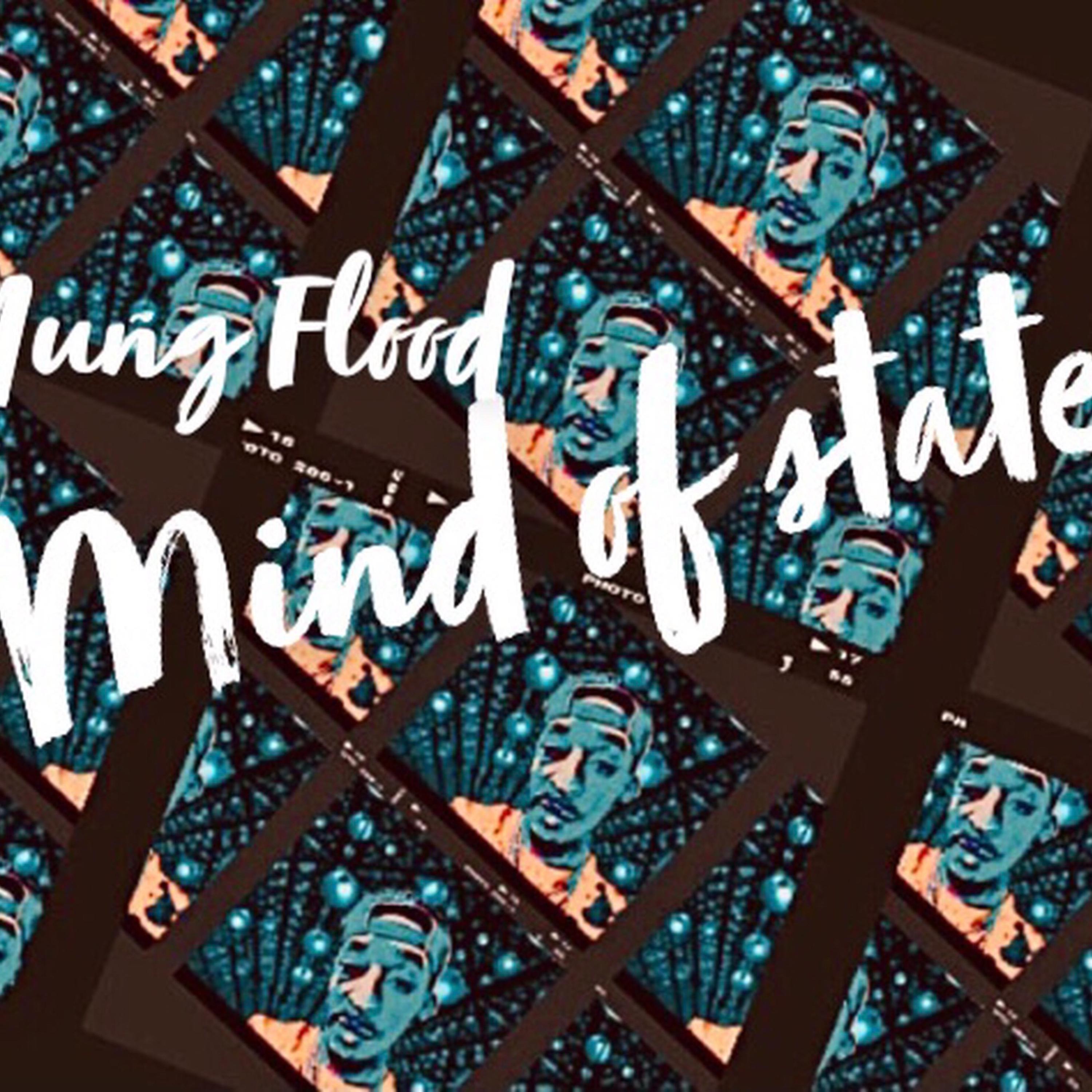 Mind Of State artwork