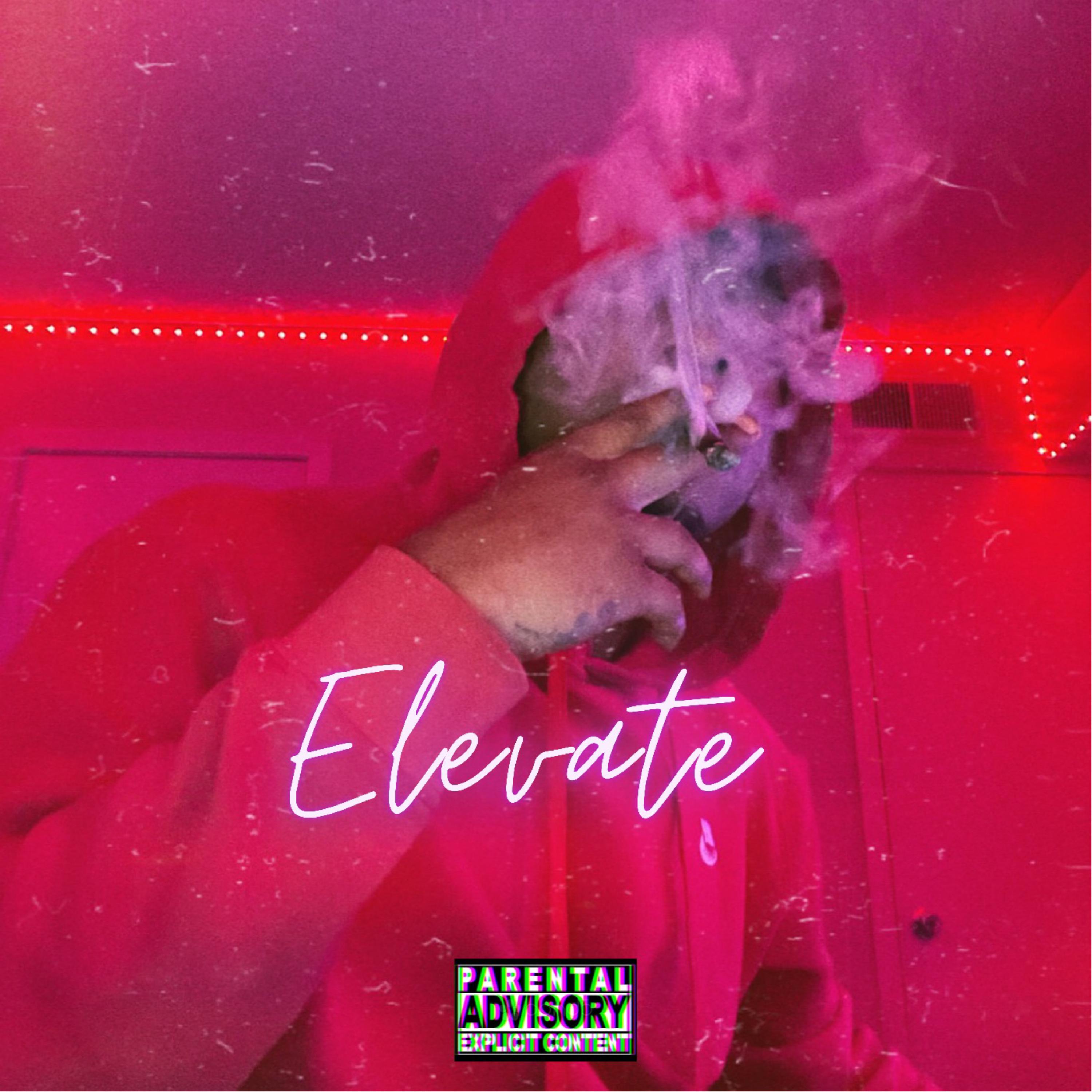 Elevate artwork