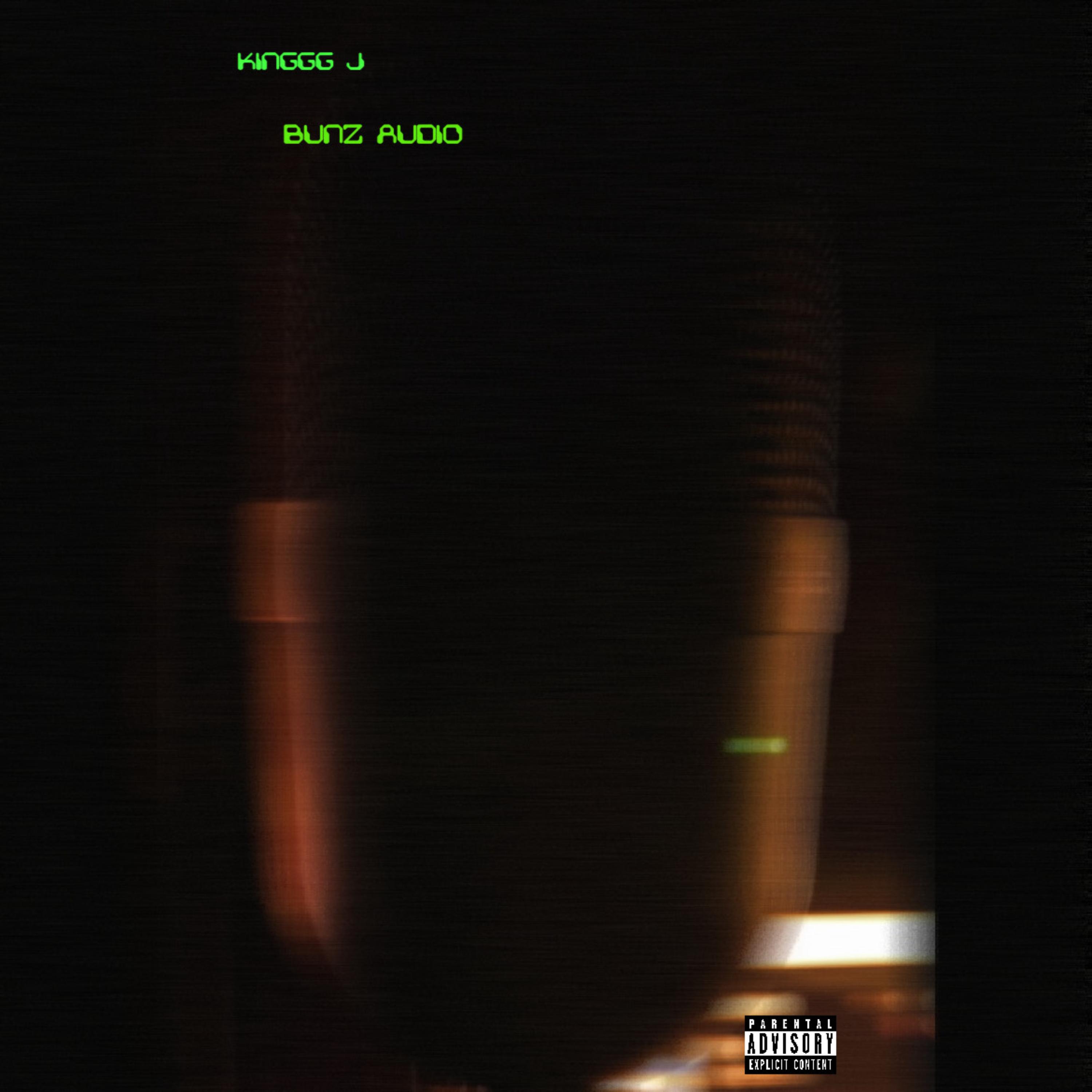 BUNZ AUDIO artwork