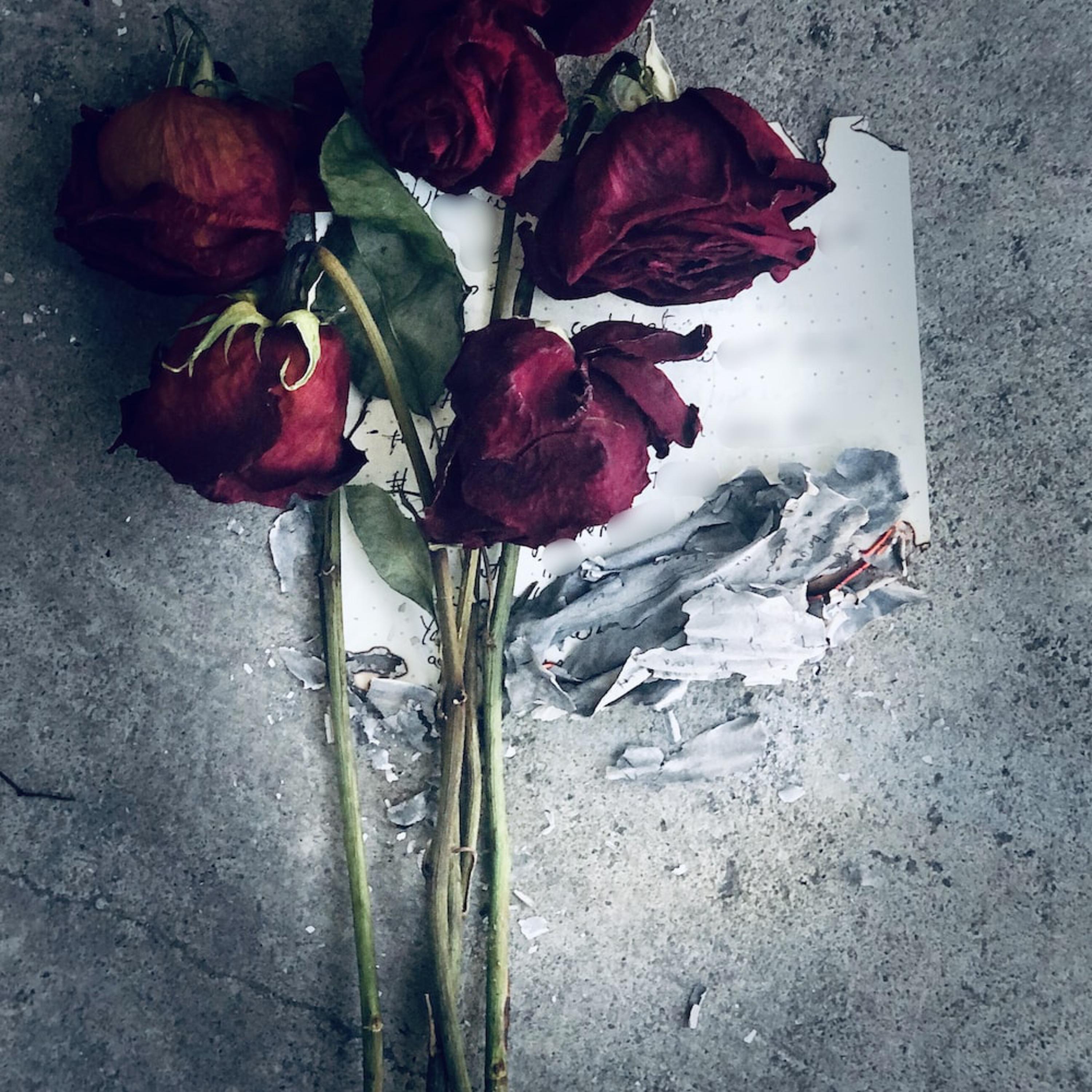 Loyalty Or Nothing artwork