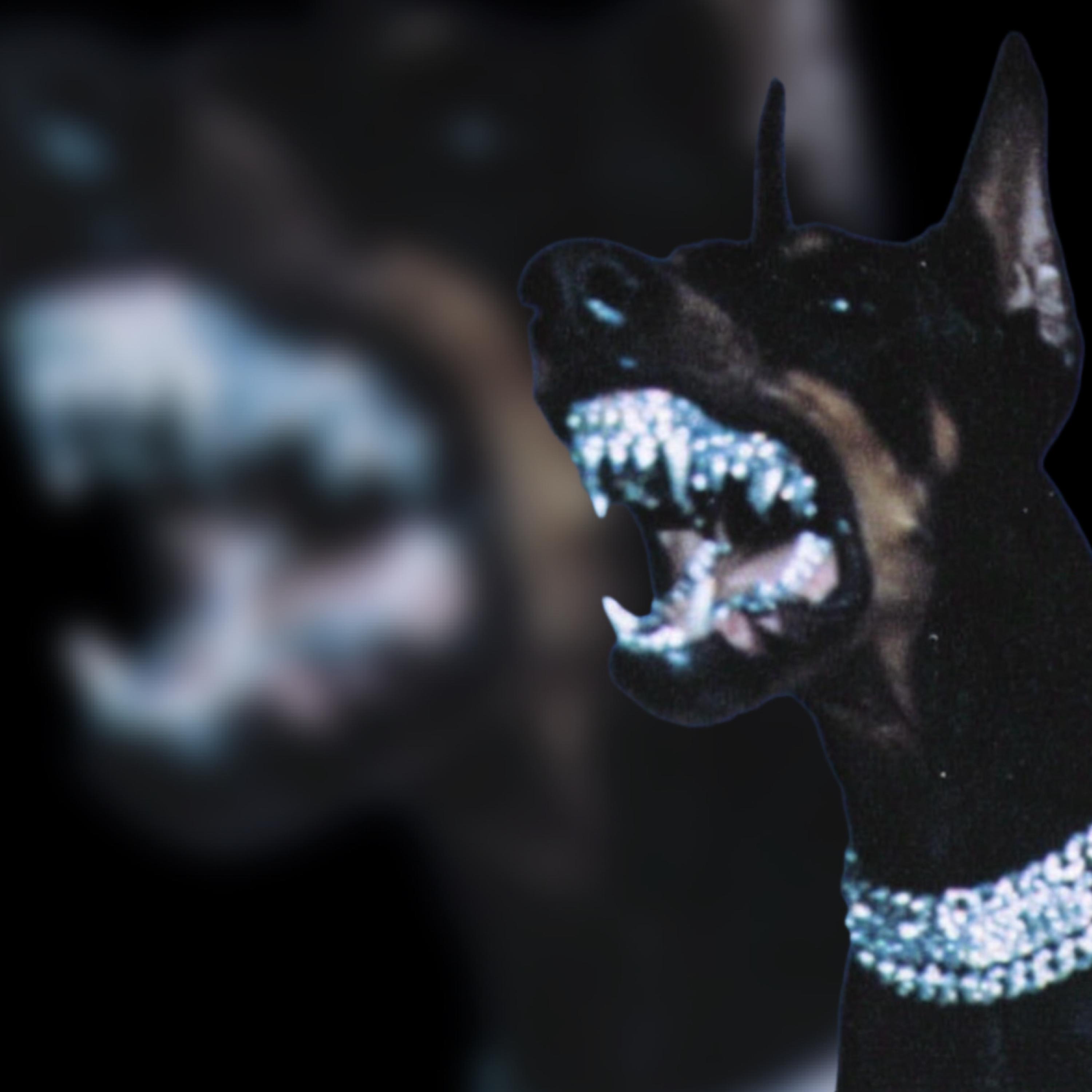 iDONT (DISCRIMINATE) artwork