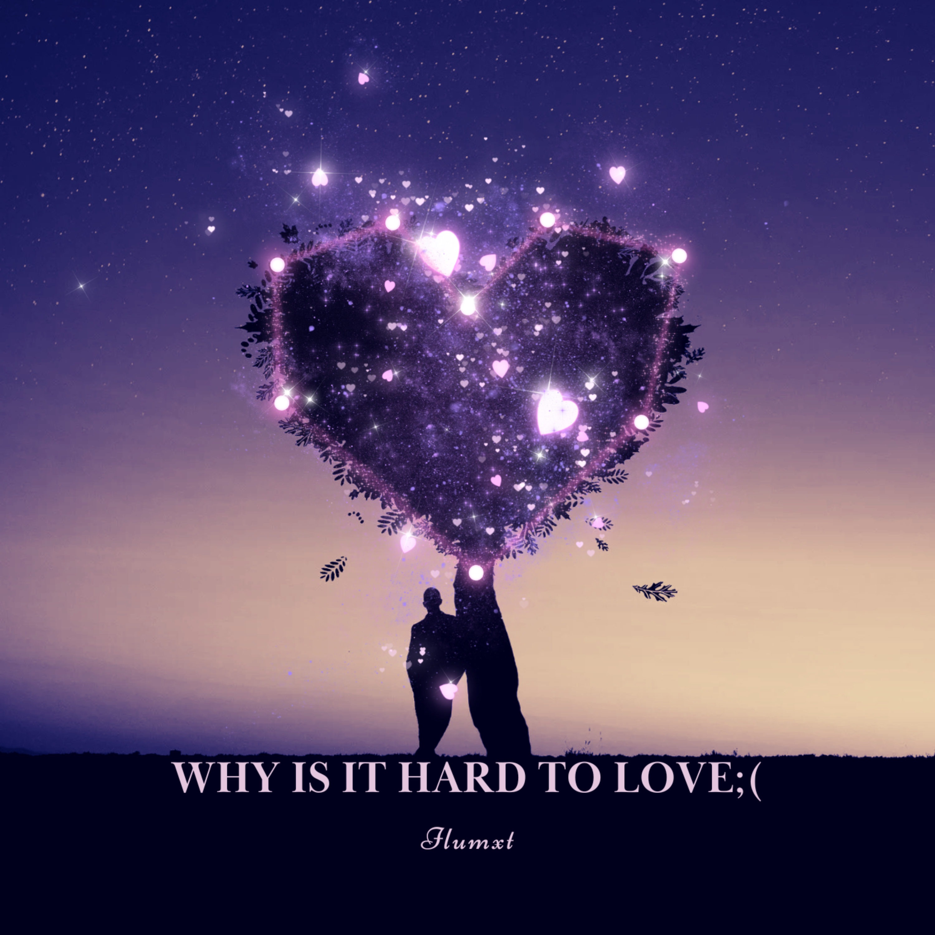 Why is it so Hard to Love artwork