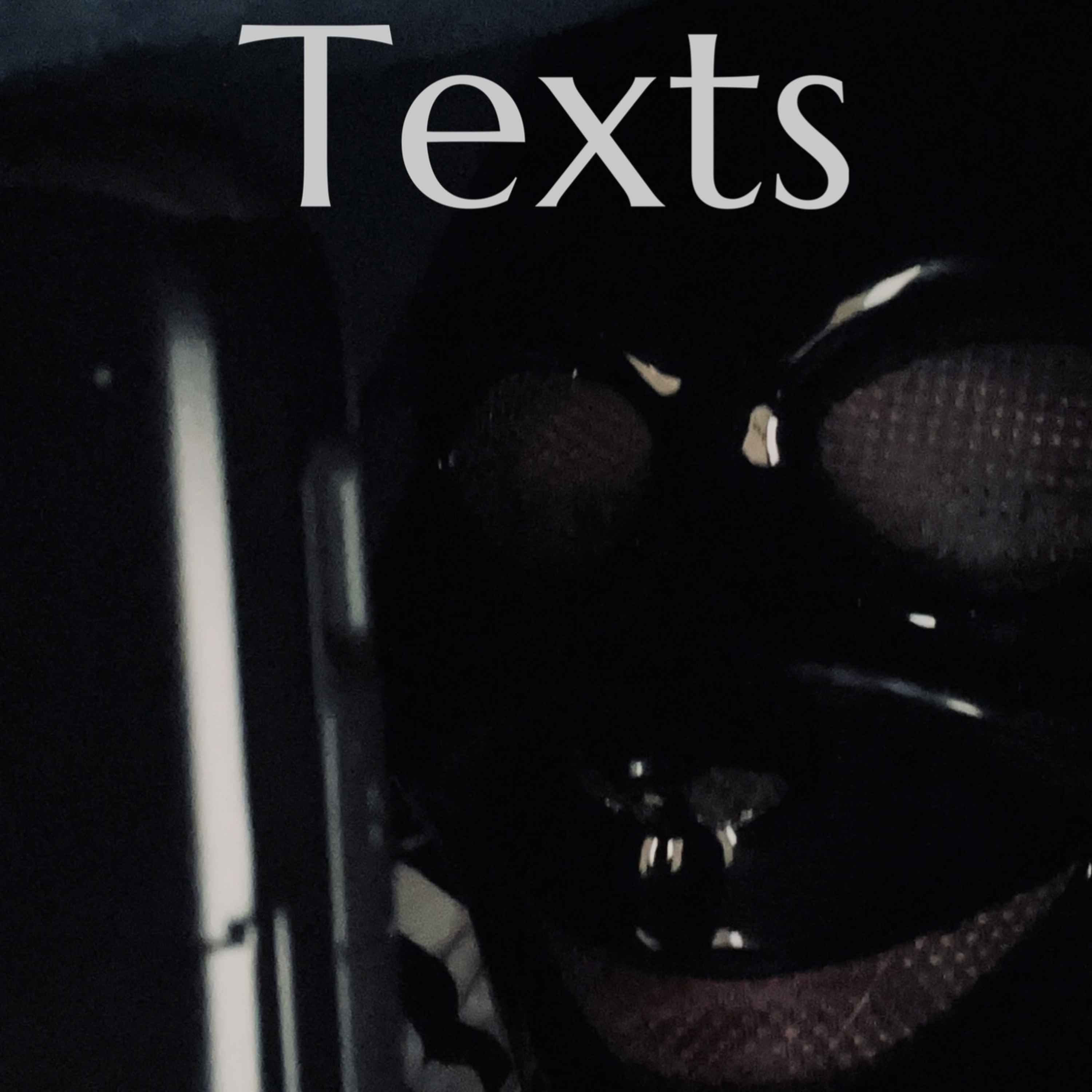 Texts artwork