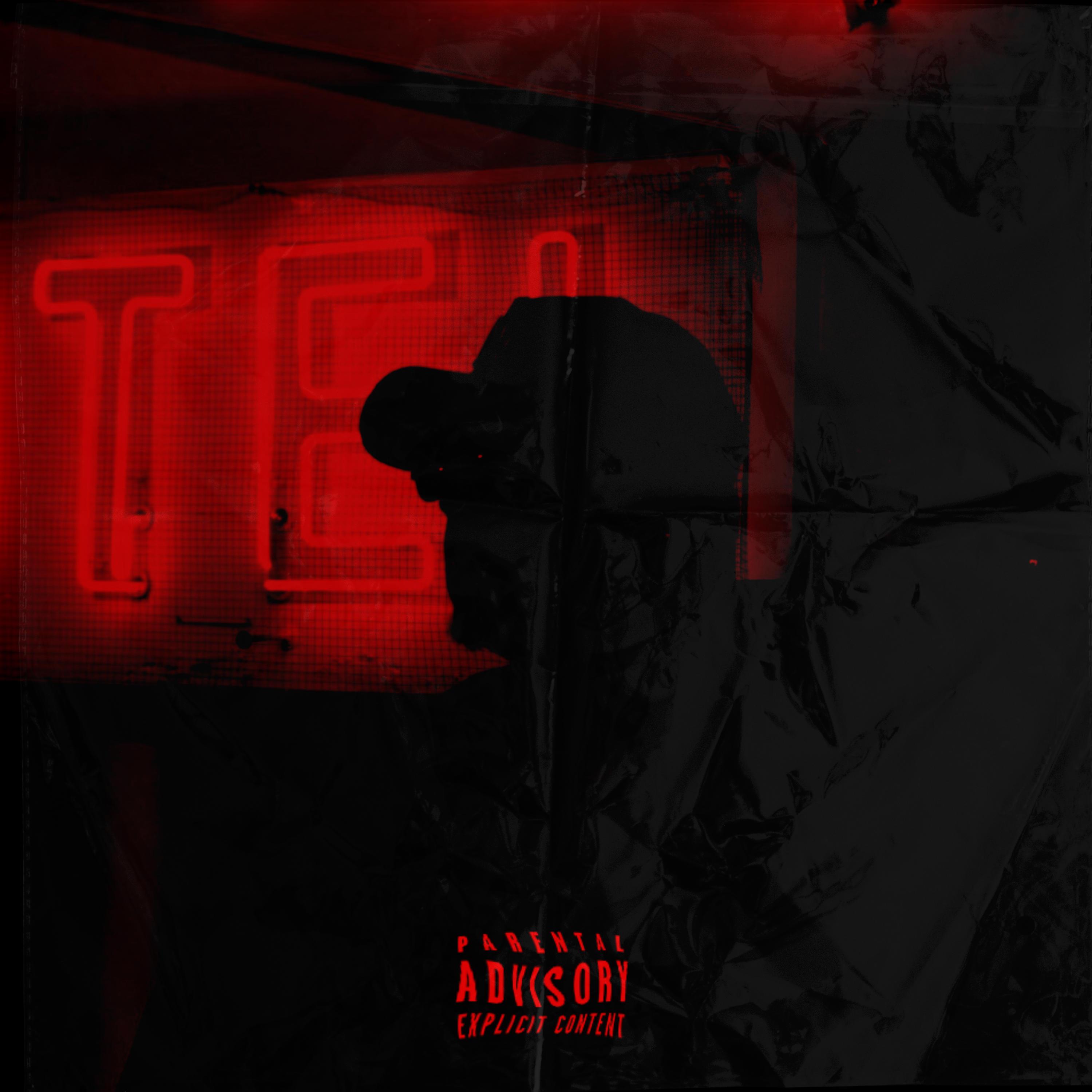 FACELE$$ artwork