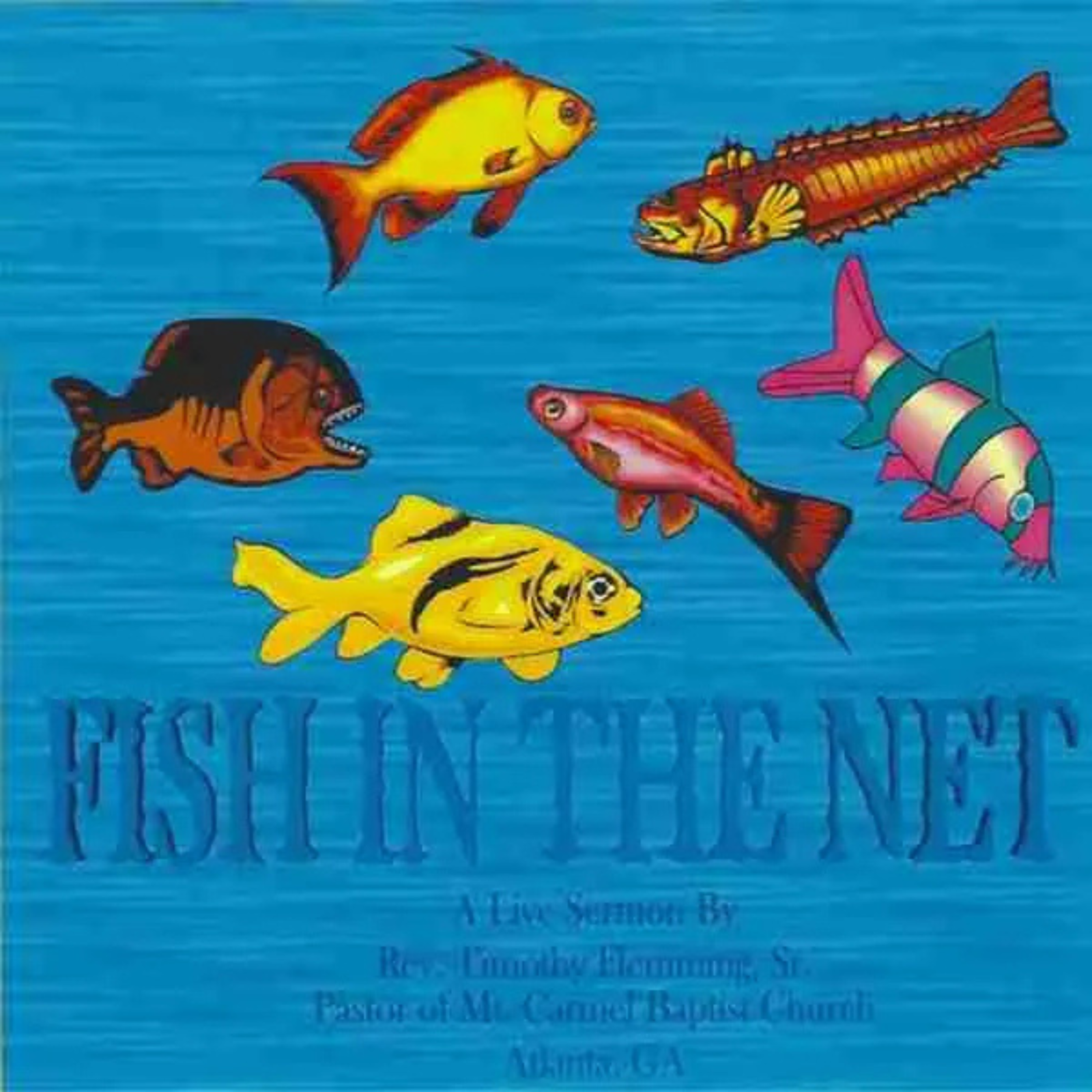 Fish In The Net artwork
