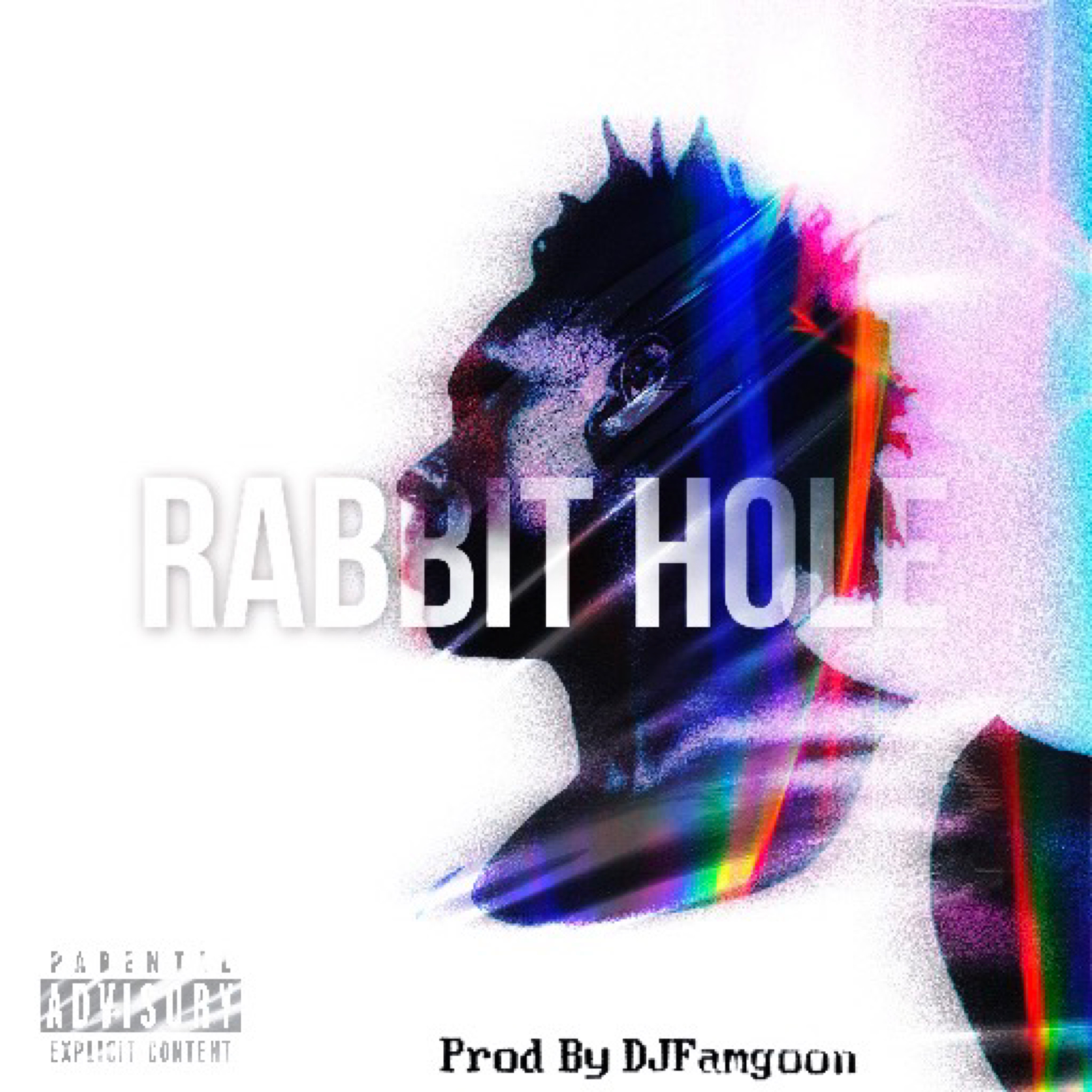 Rabbit Hole artwork