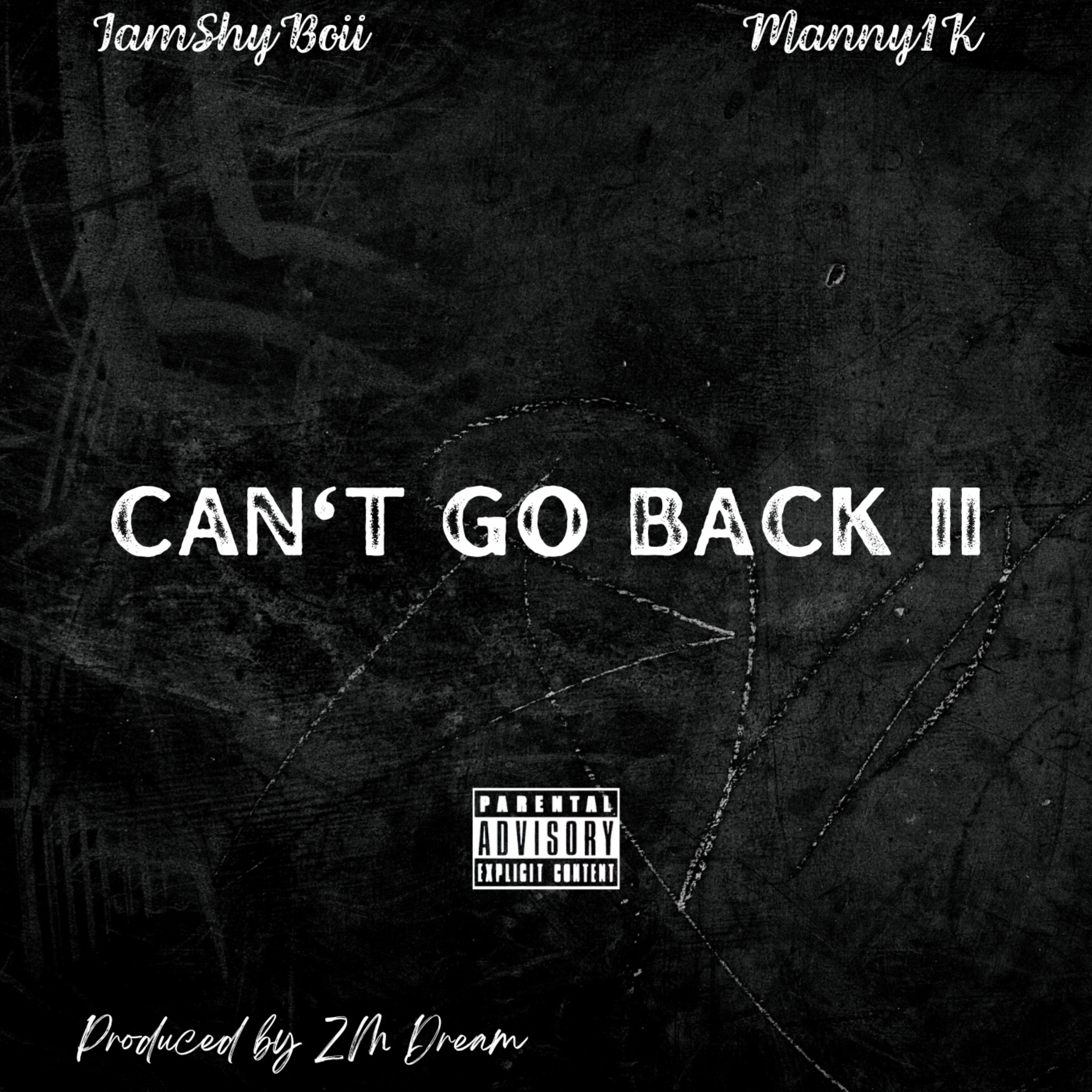 Can't Go Back 2 by IamShyBoii cover art