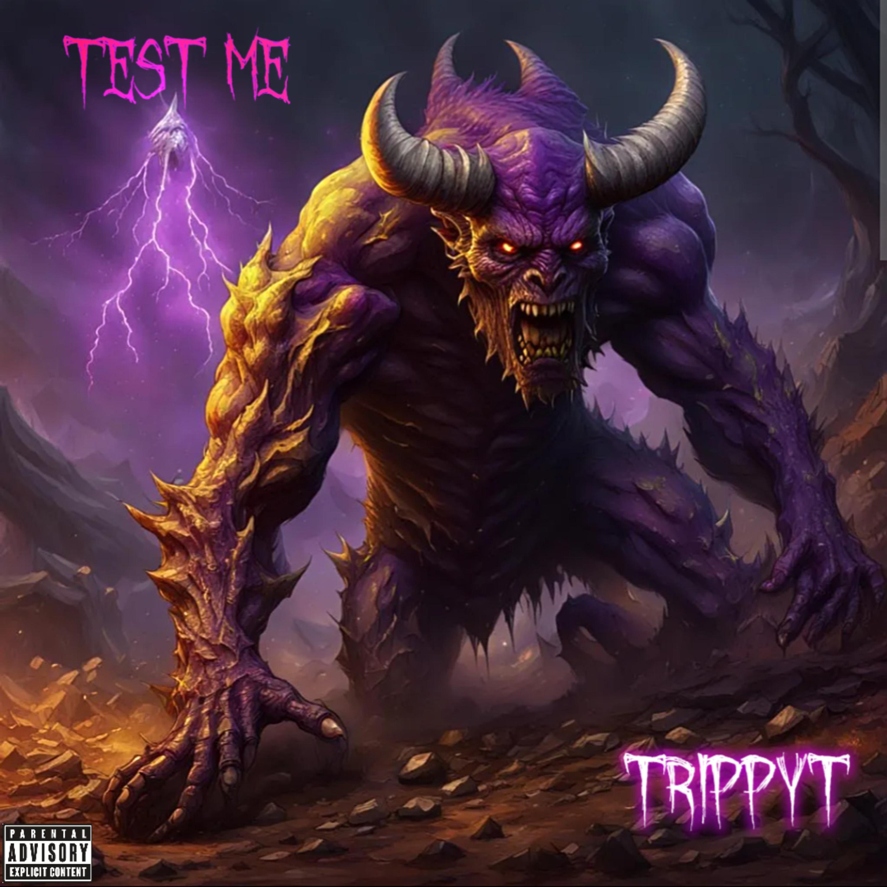 Test me artwork