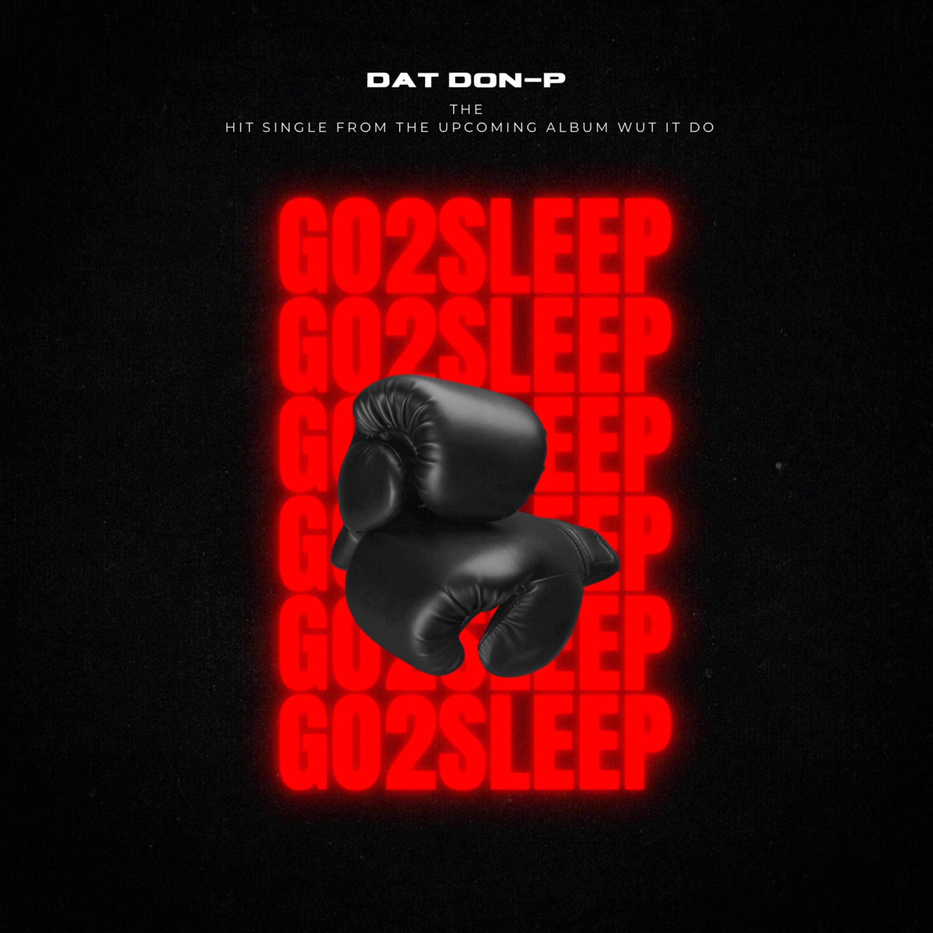 Go 2 Sleep artwork