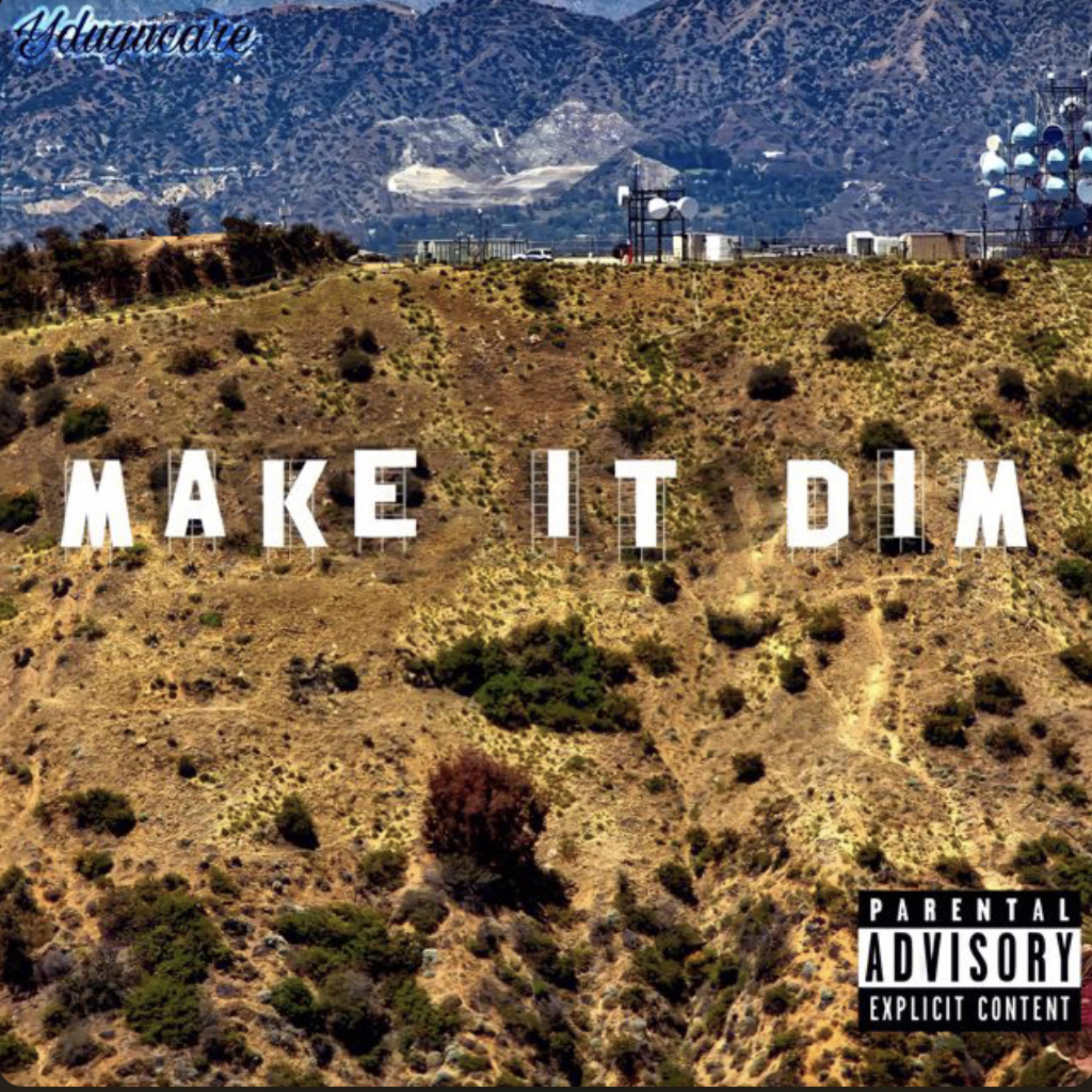 Make It Dim artwork