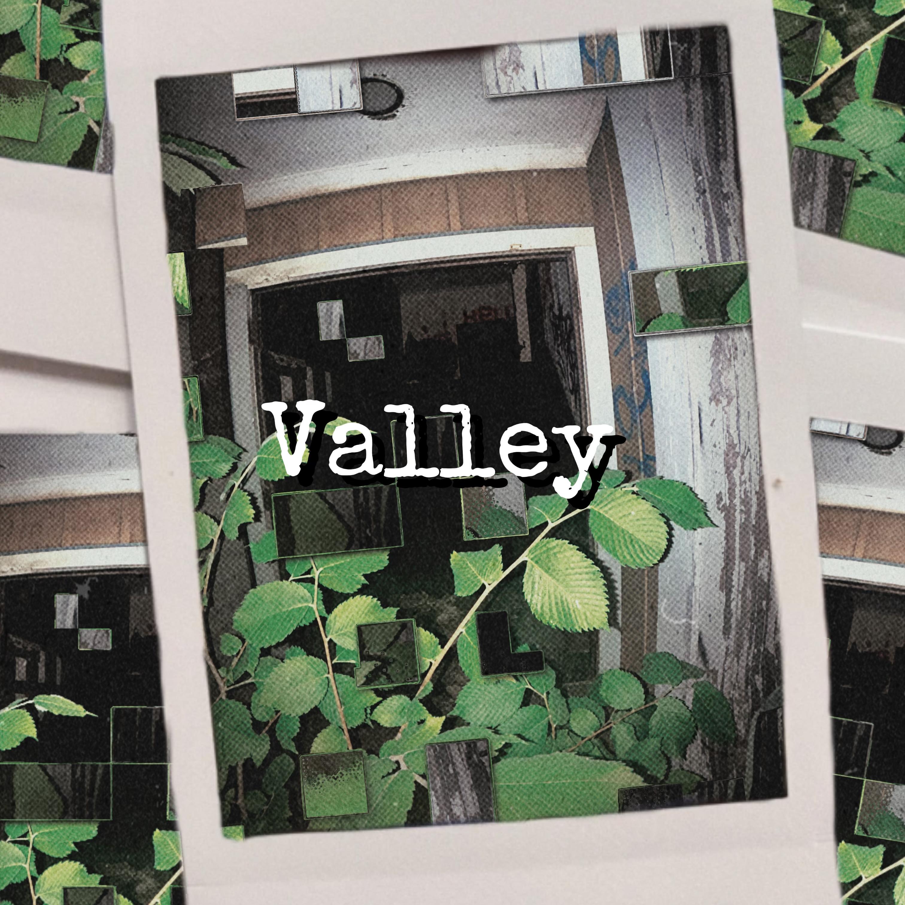Valley artwork