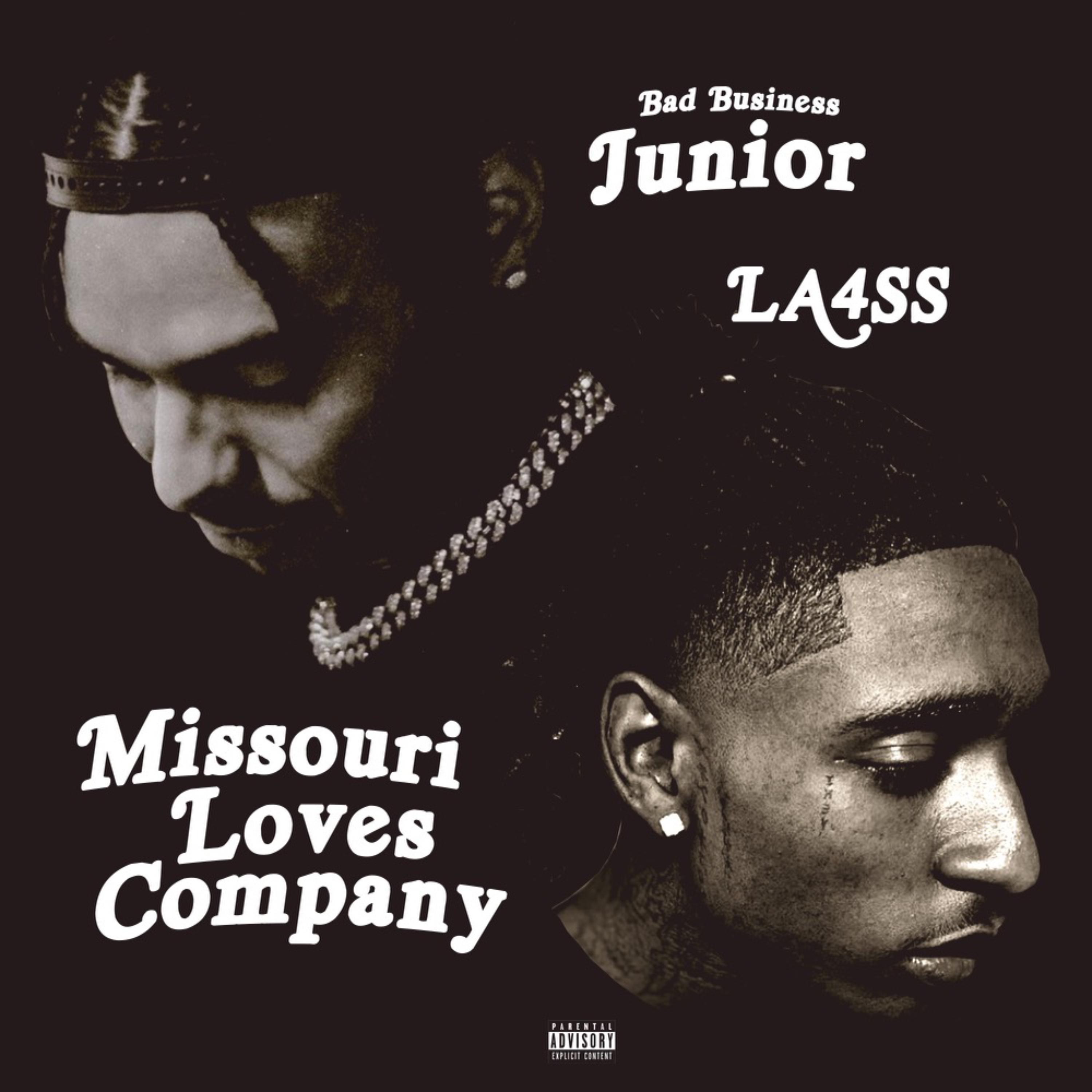 Missouri Loves Company artwork