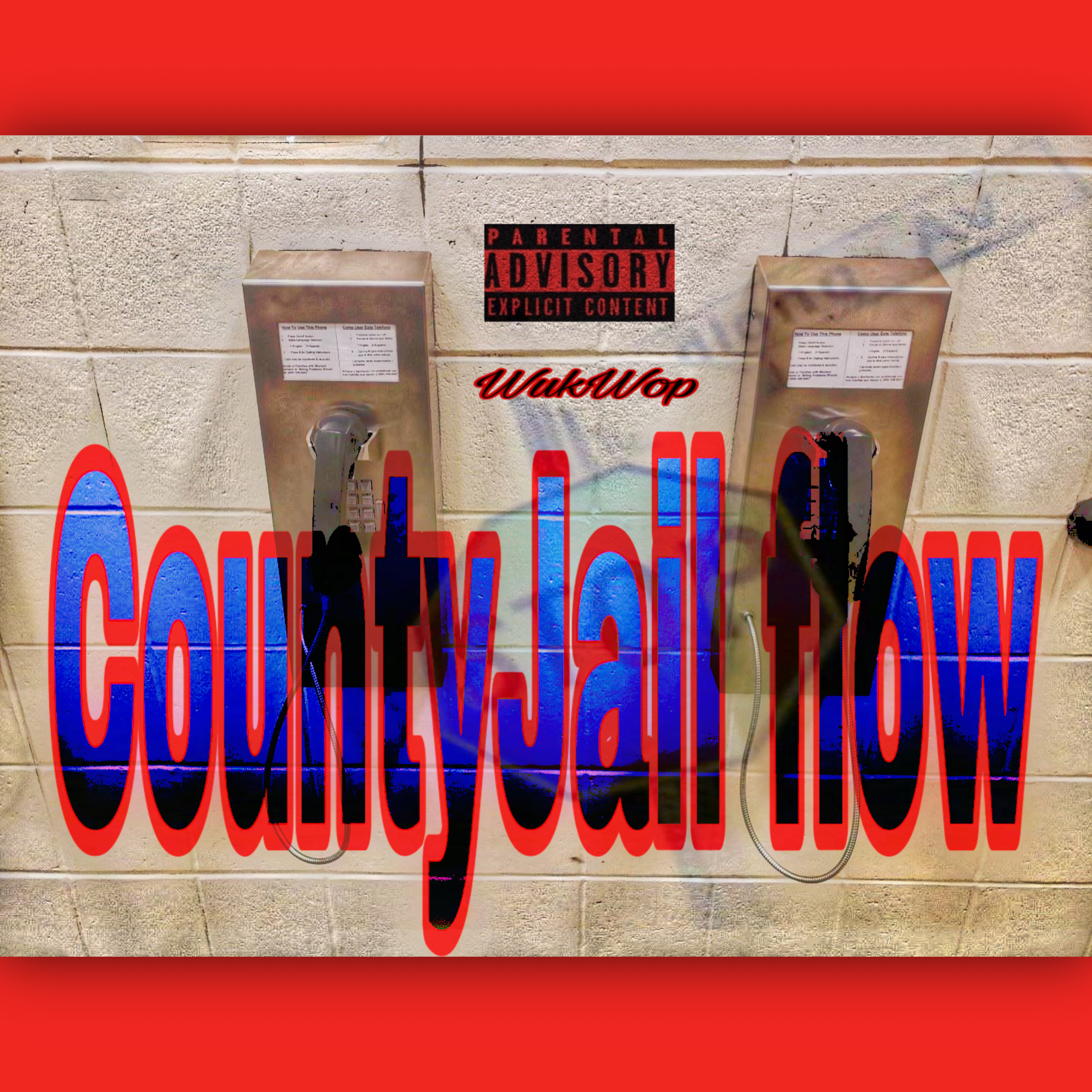 CountyJail Flow artwork