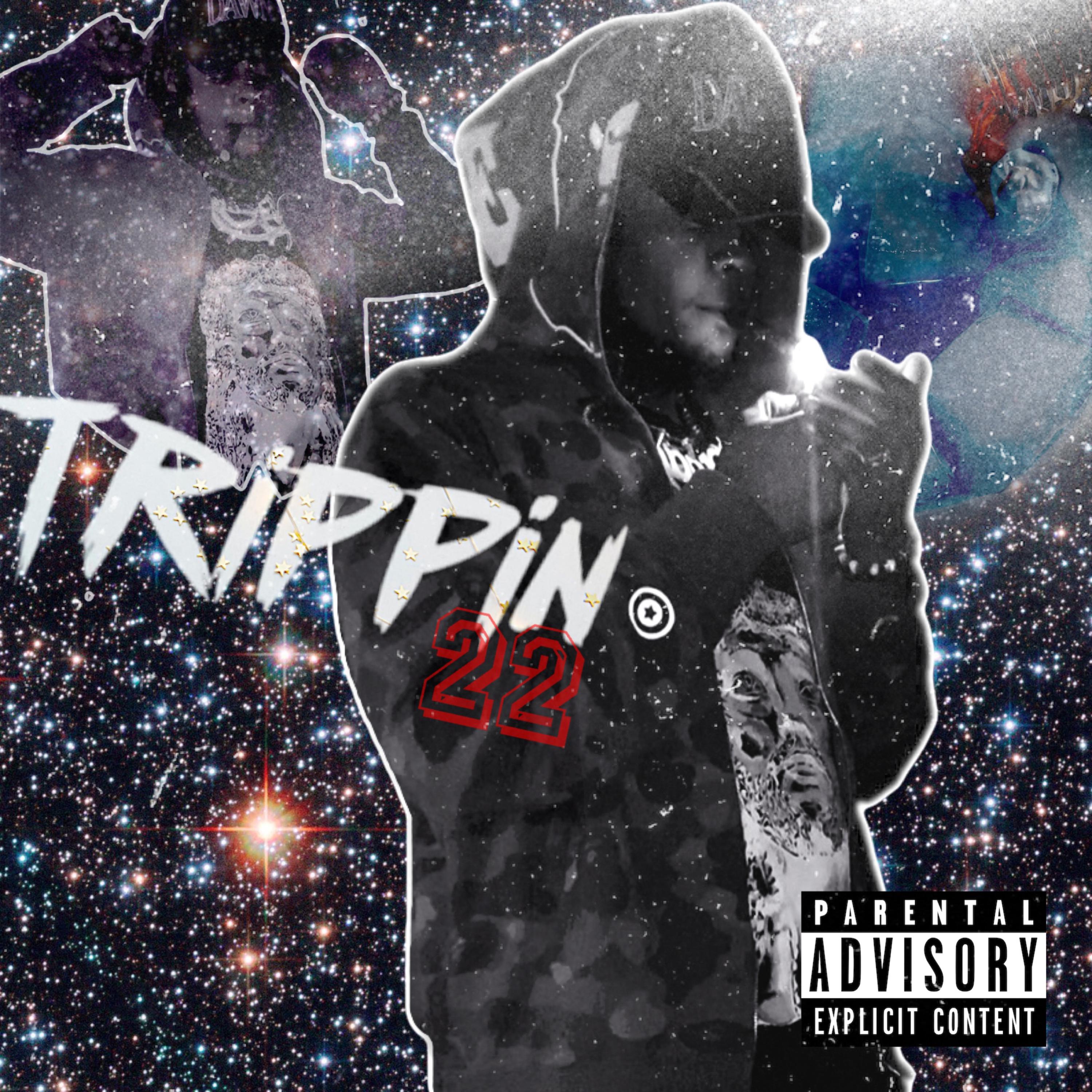 Trippin22 artwork