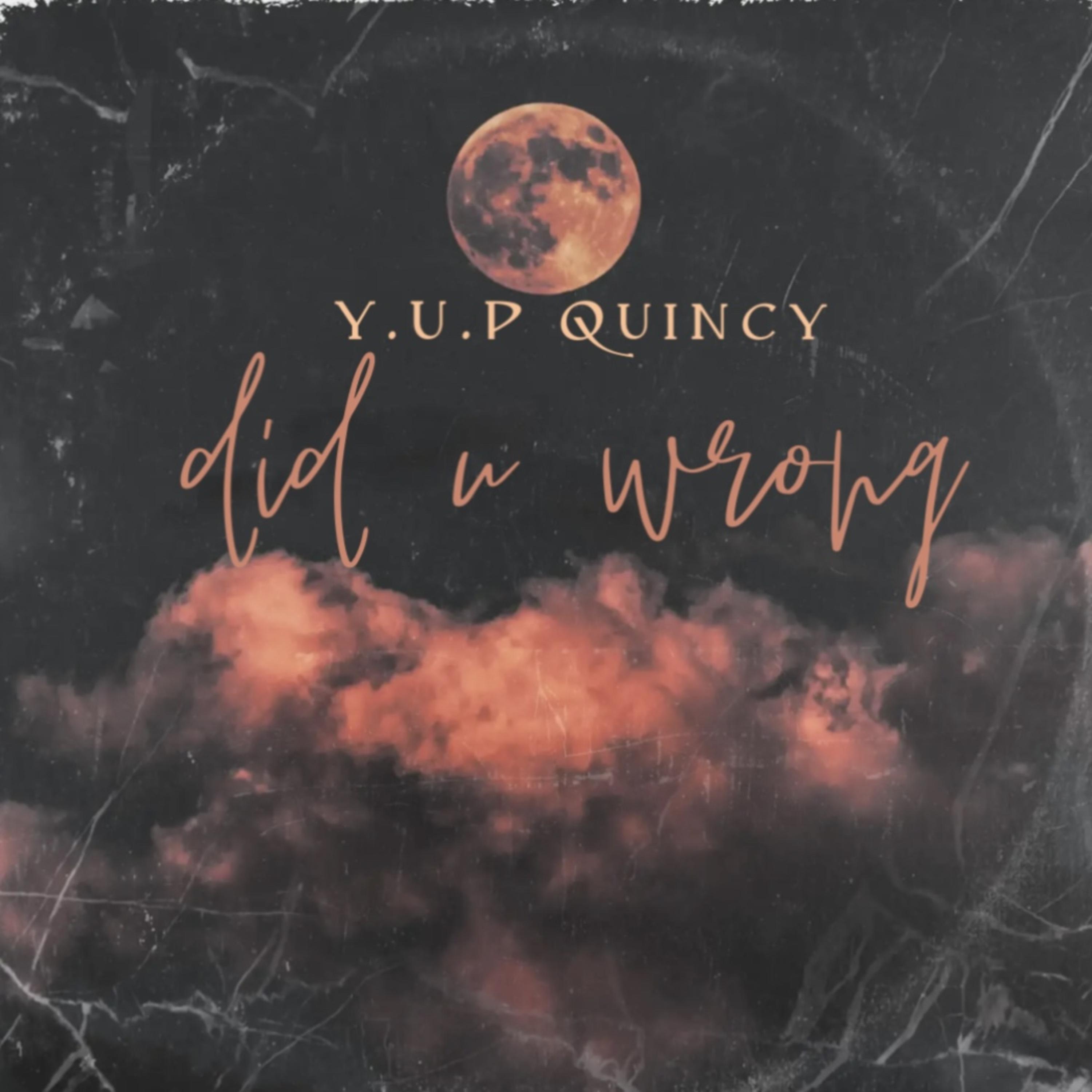 did u wrong artwork