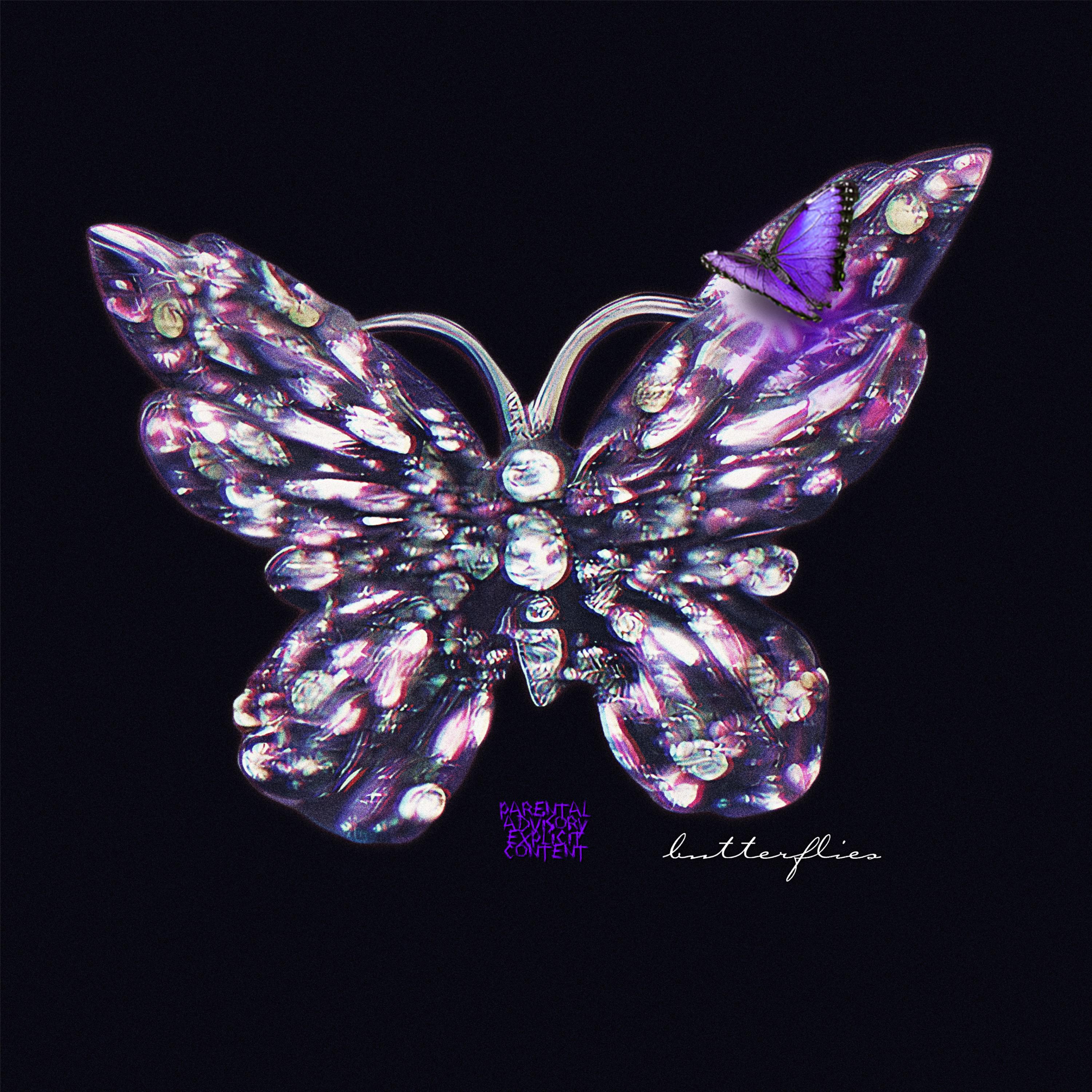 BUTTERFLIES artwork