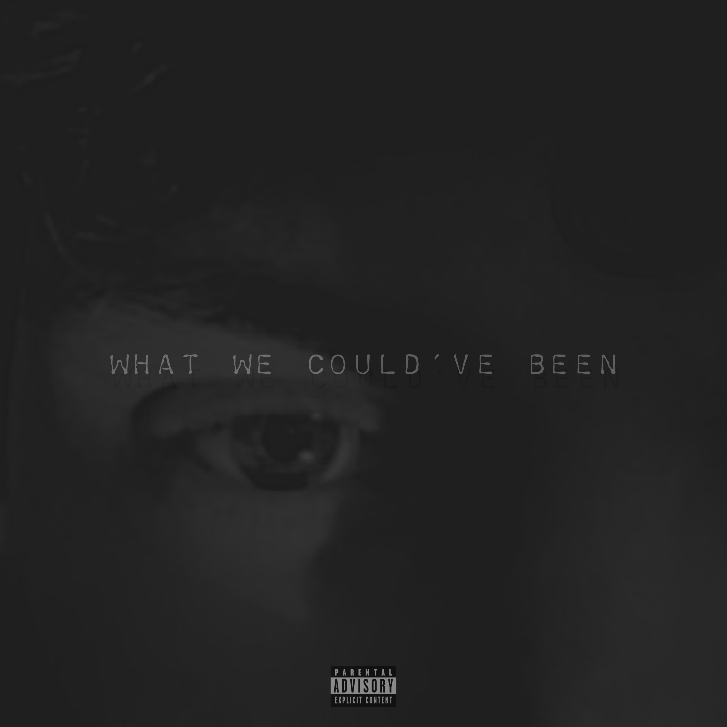 What We Could've Been artwork