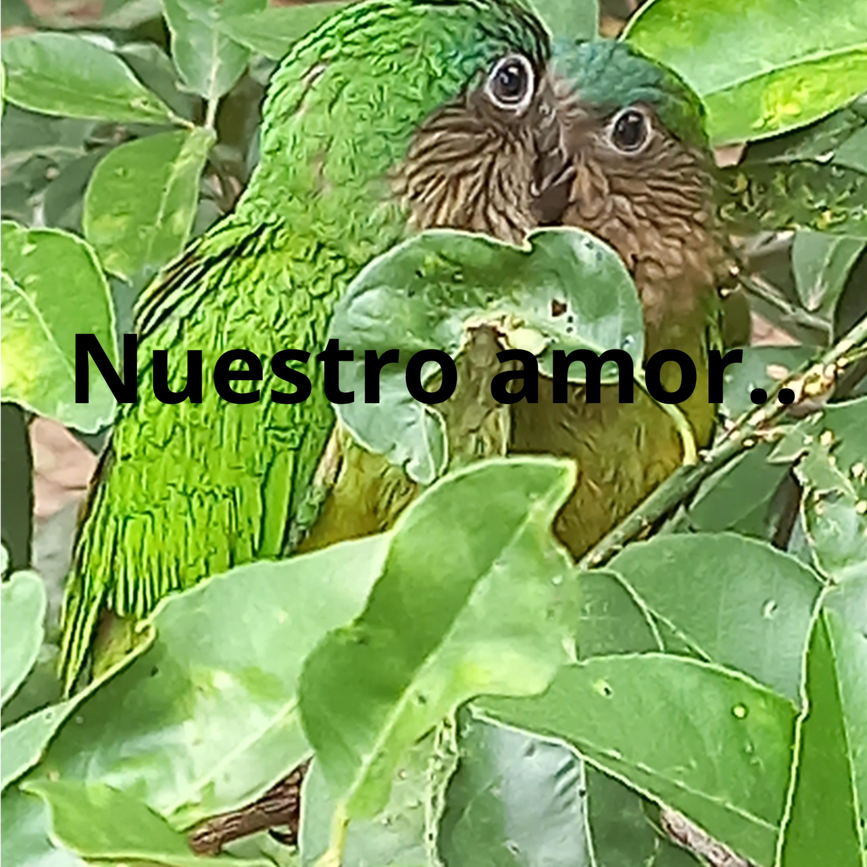 Nuestro amor by AJMORALESD cover art