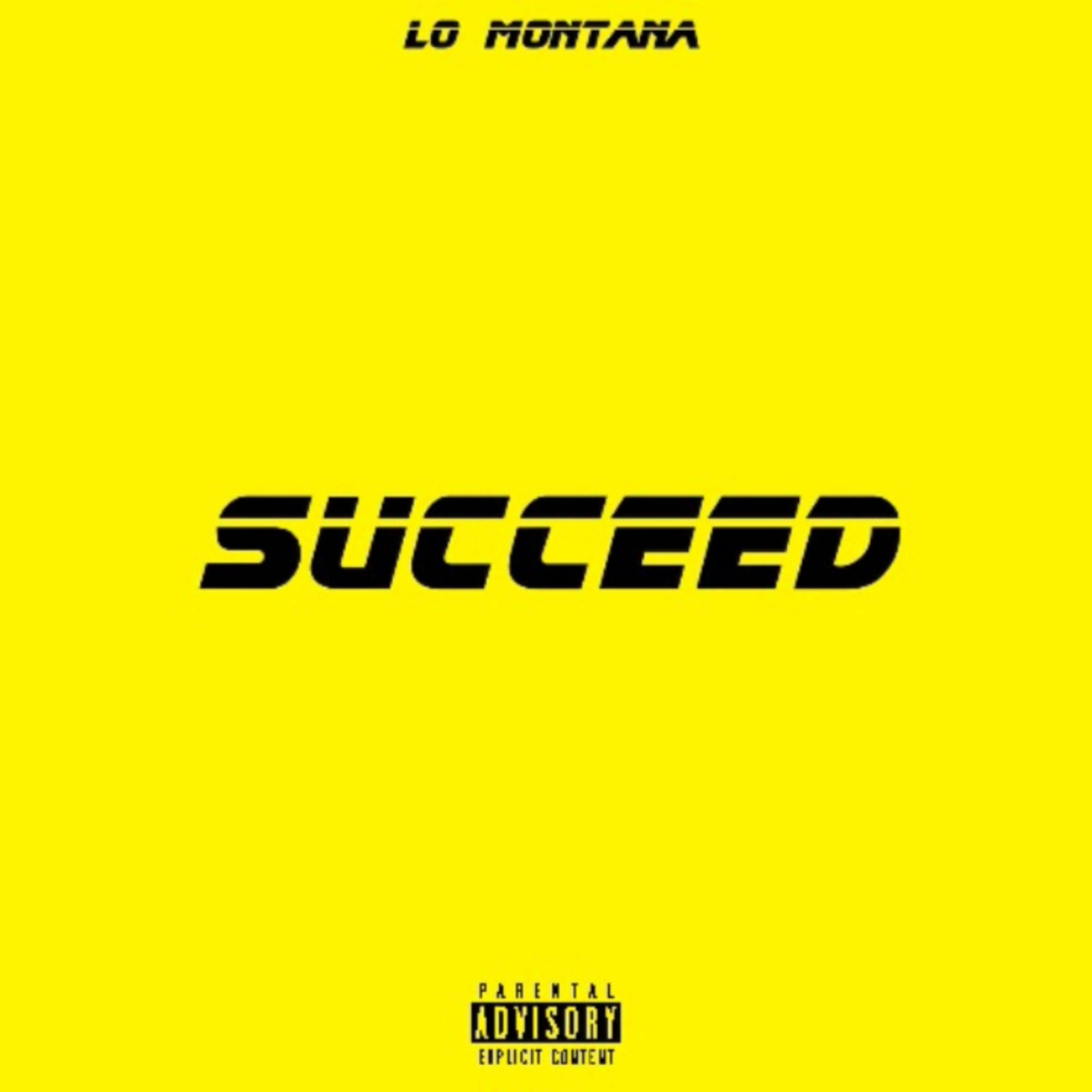 Succeed artwork