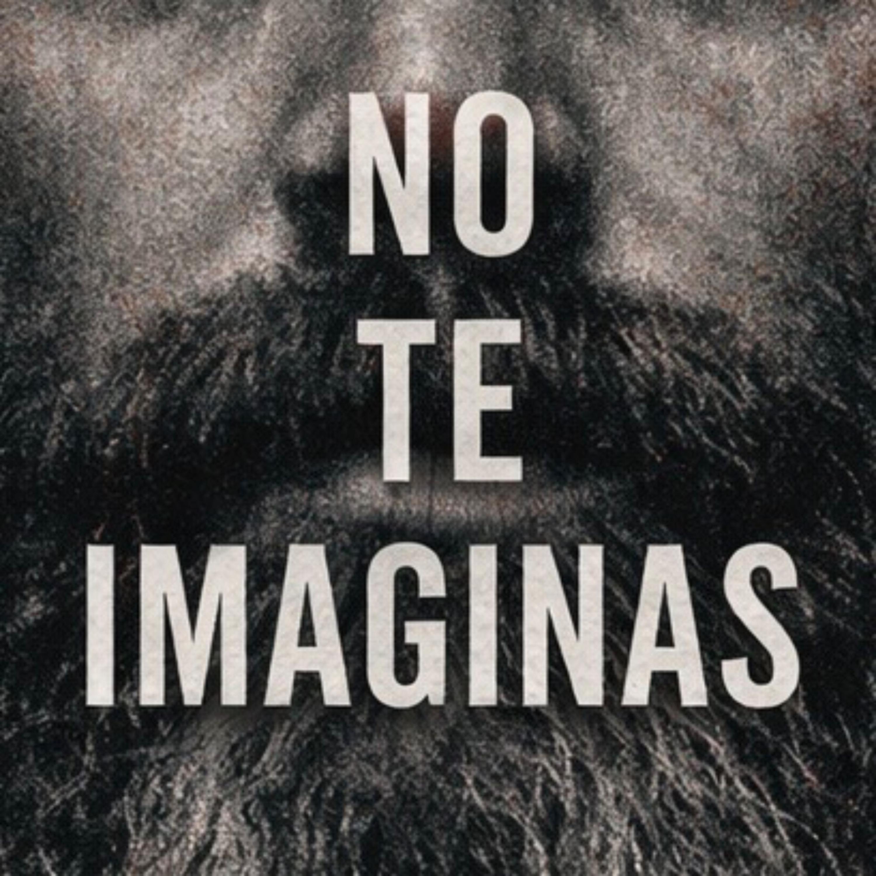 No Te Imaginas artwork