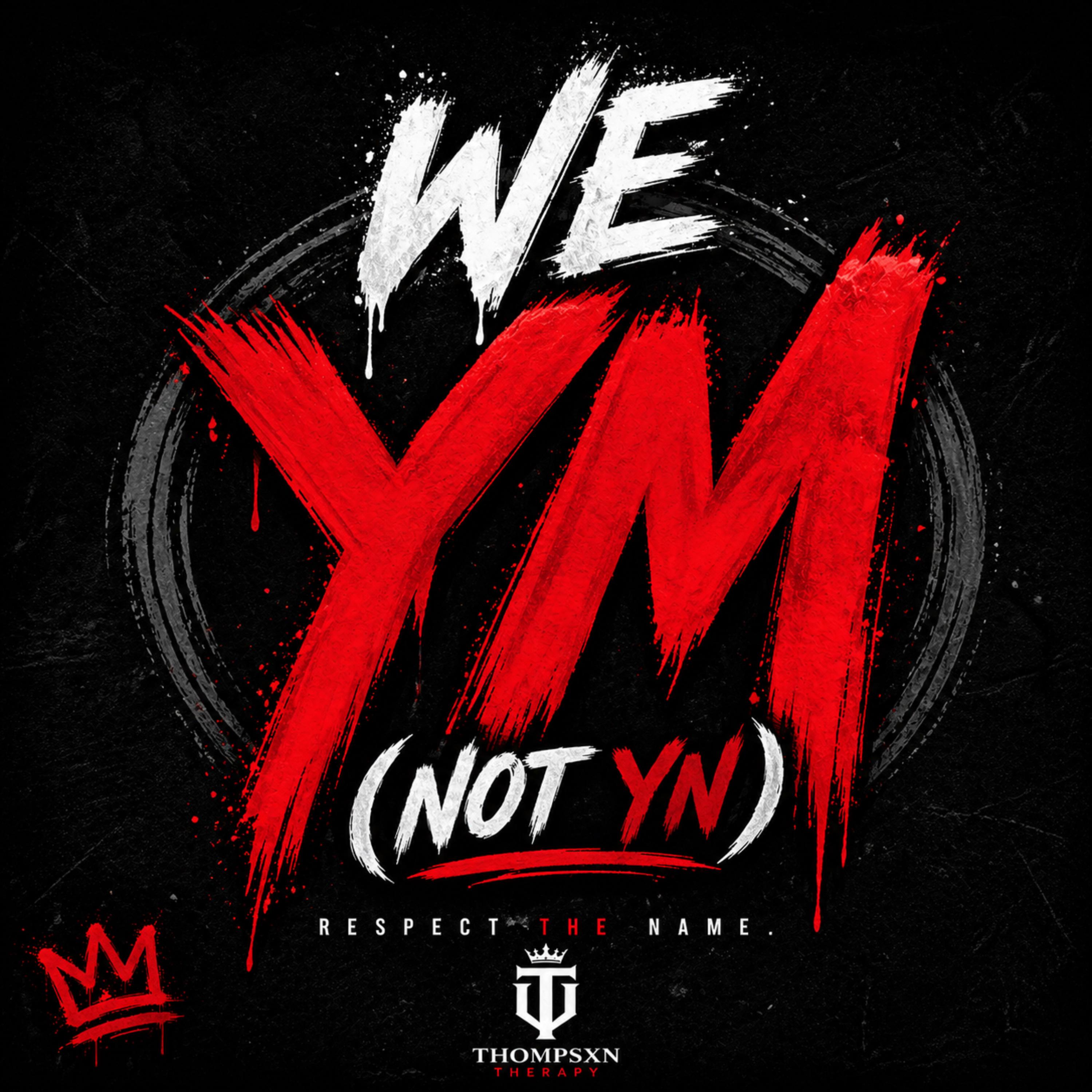 We YM, Not YN artwork