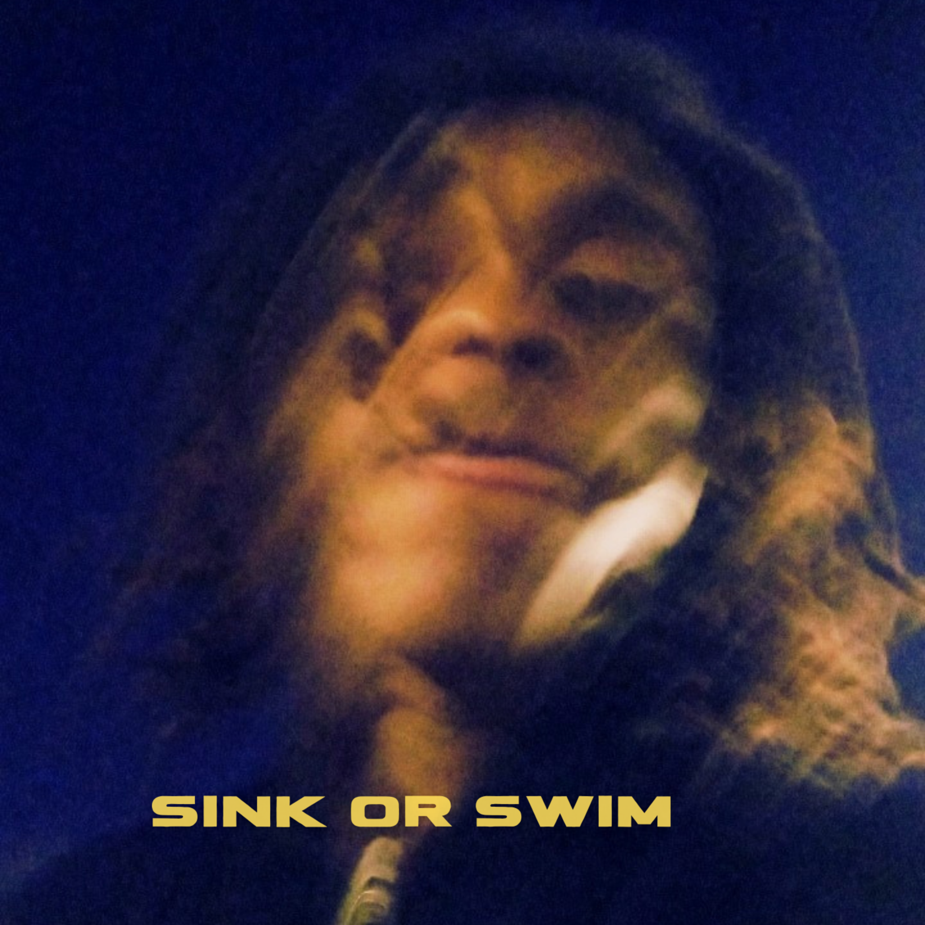 Sink Or Swim artwork