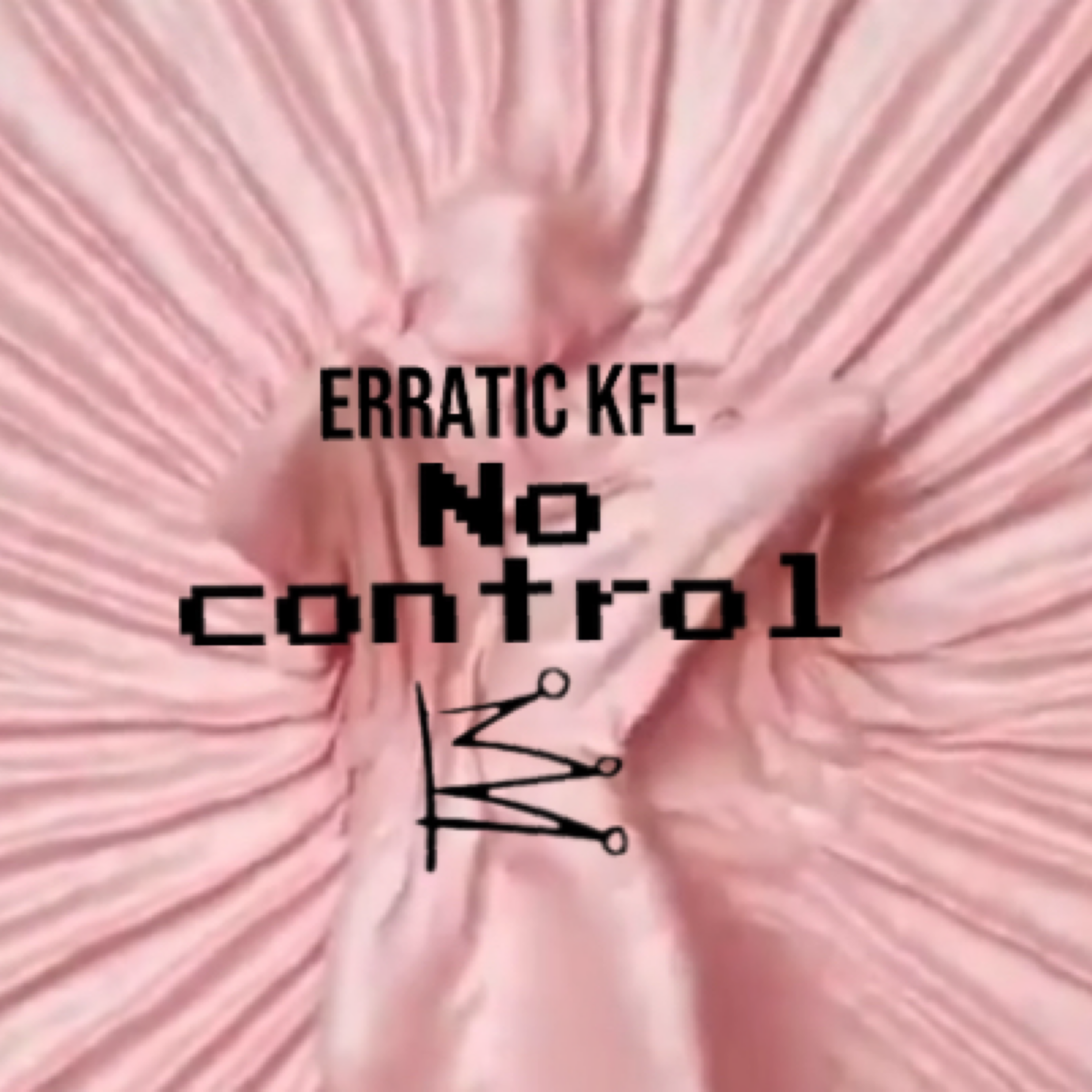 No Control artwork