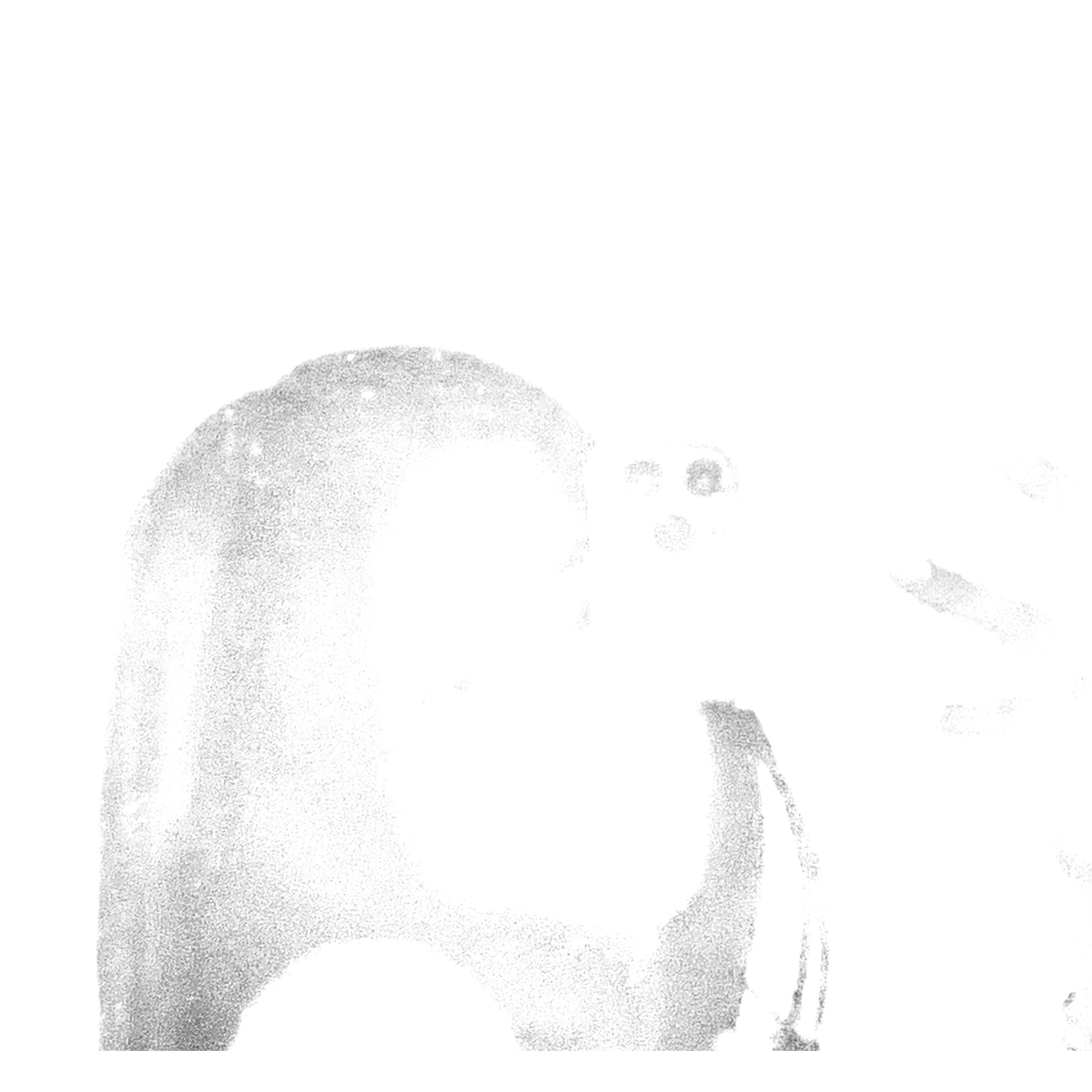 Libro Sin Fin artwork