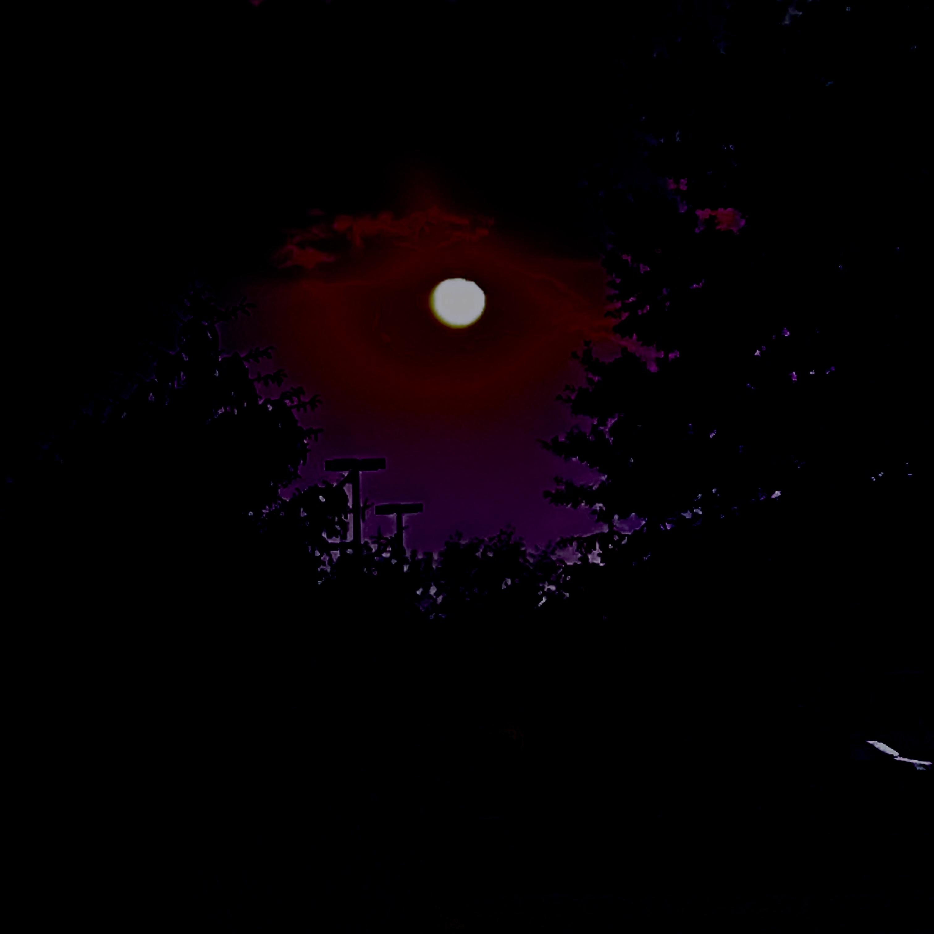 Neesh's Lullaby artwork