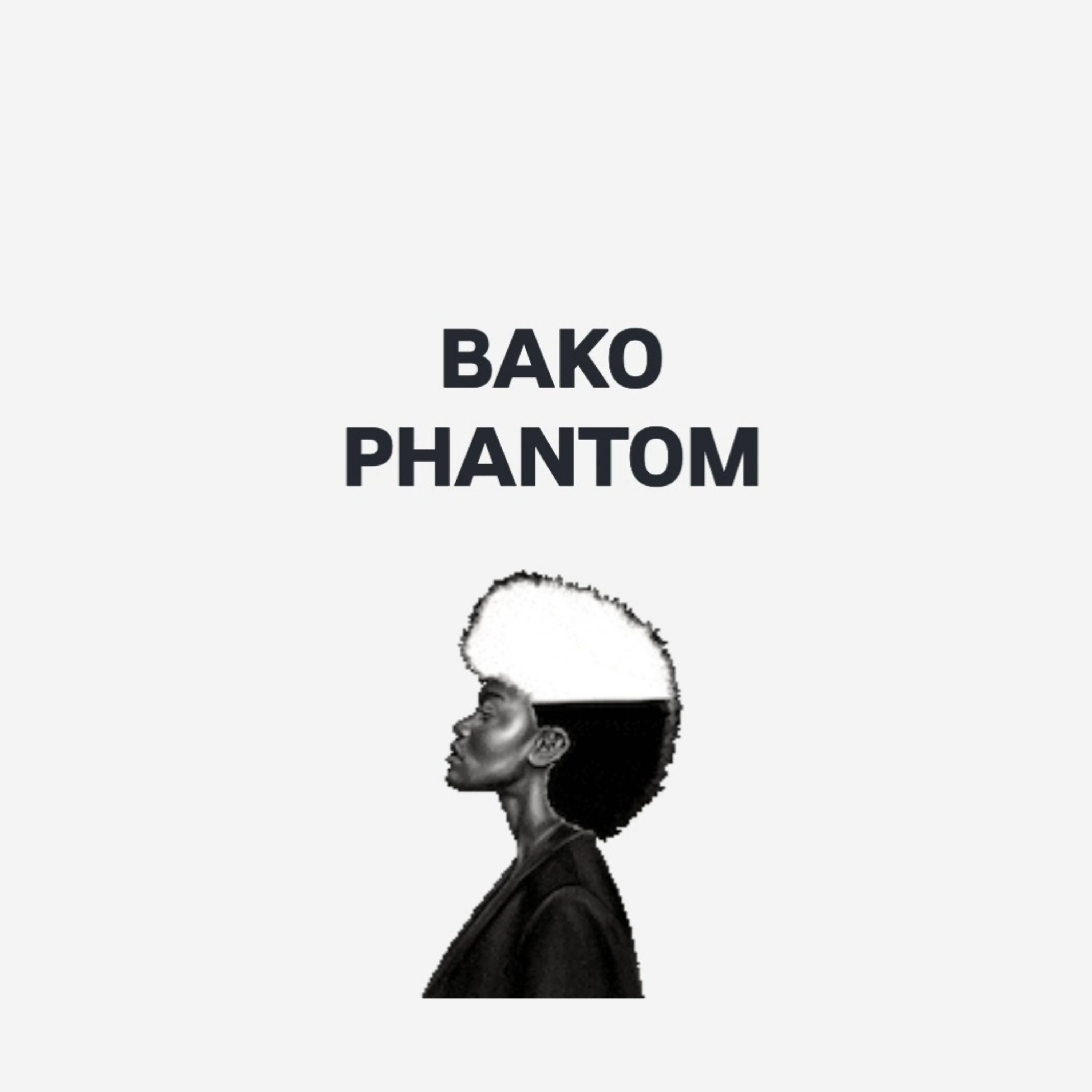 BAKO PHANTOM artwork
