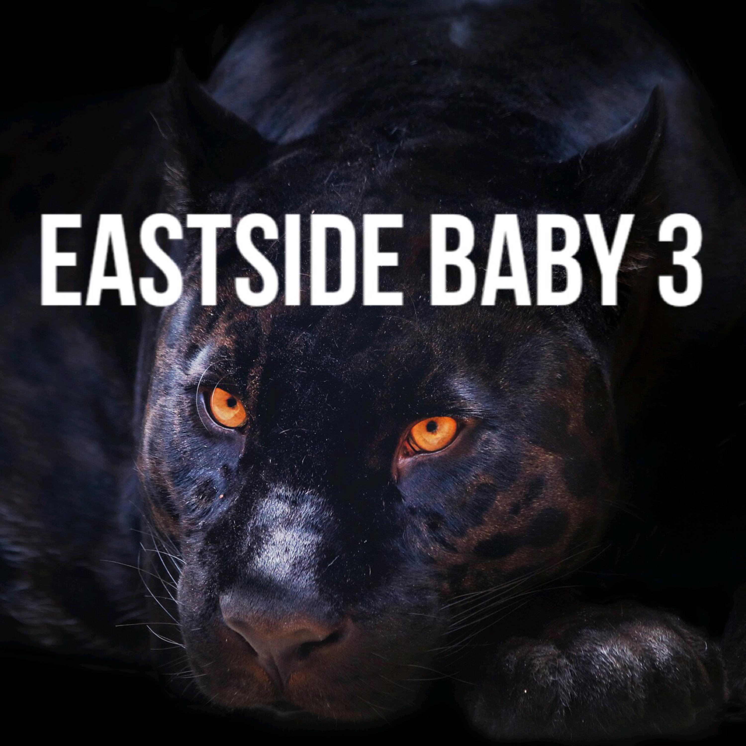Eastside Baby 3 artwork