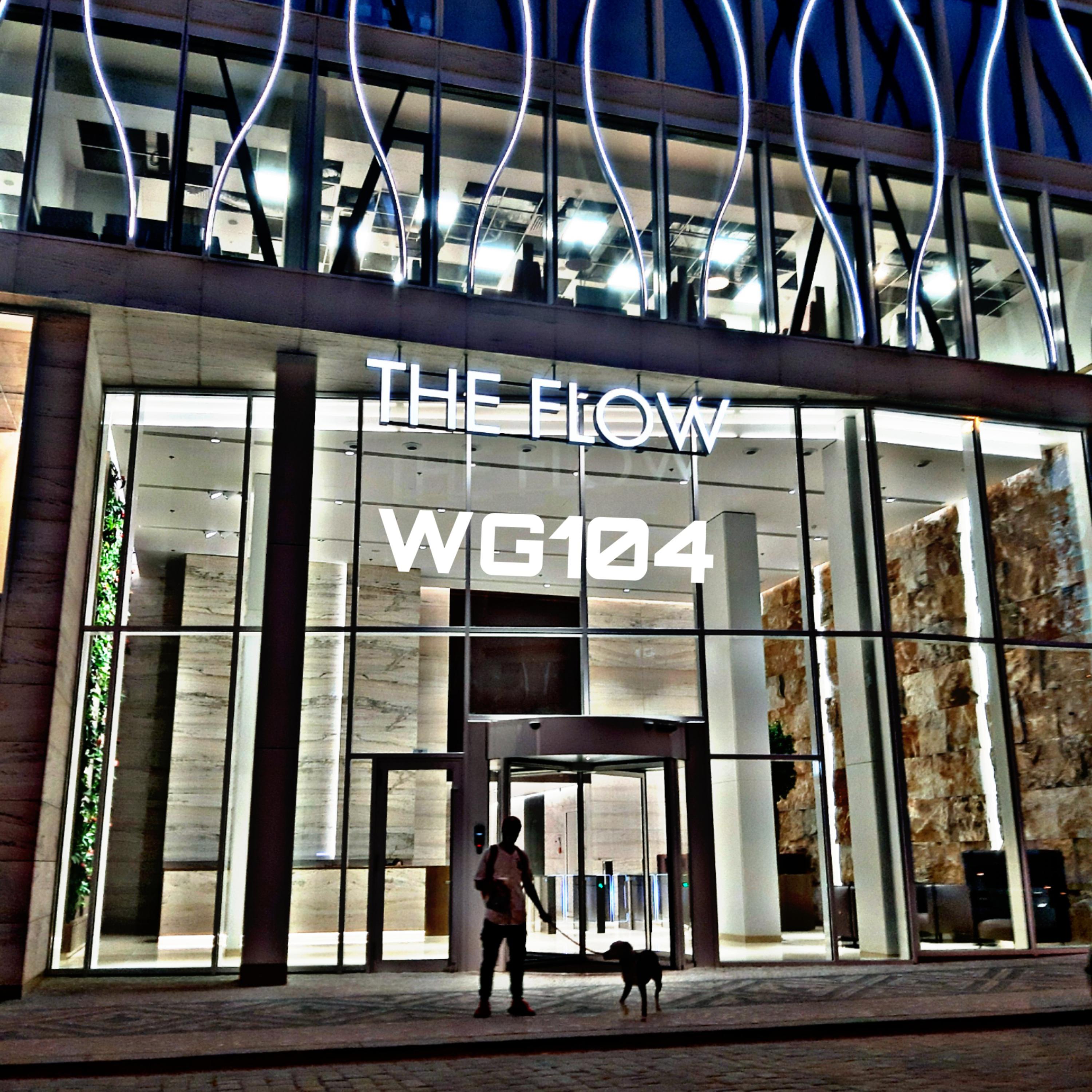 The Flow Beats artwork