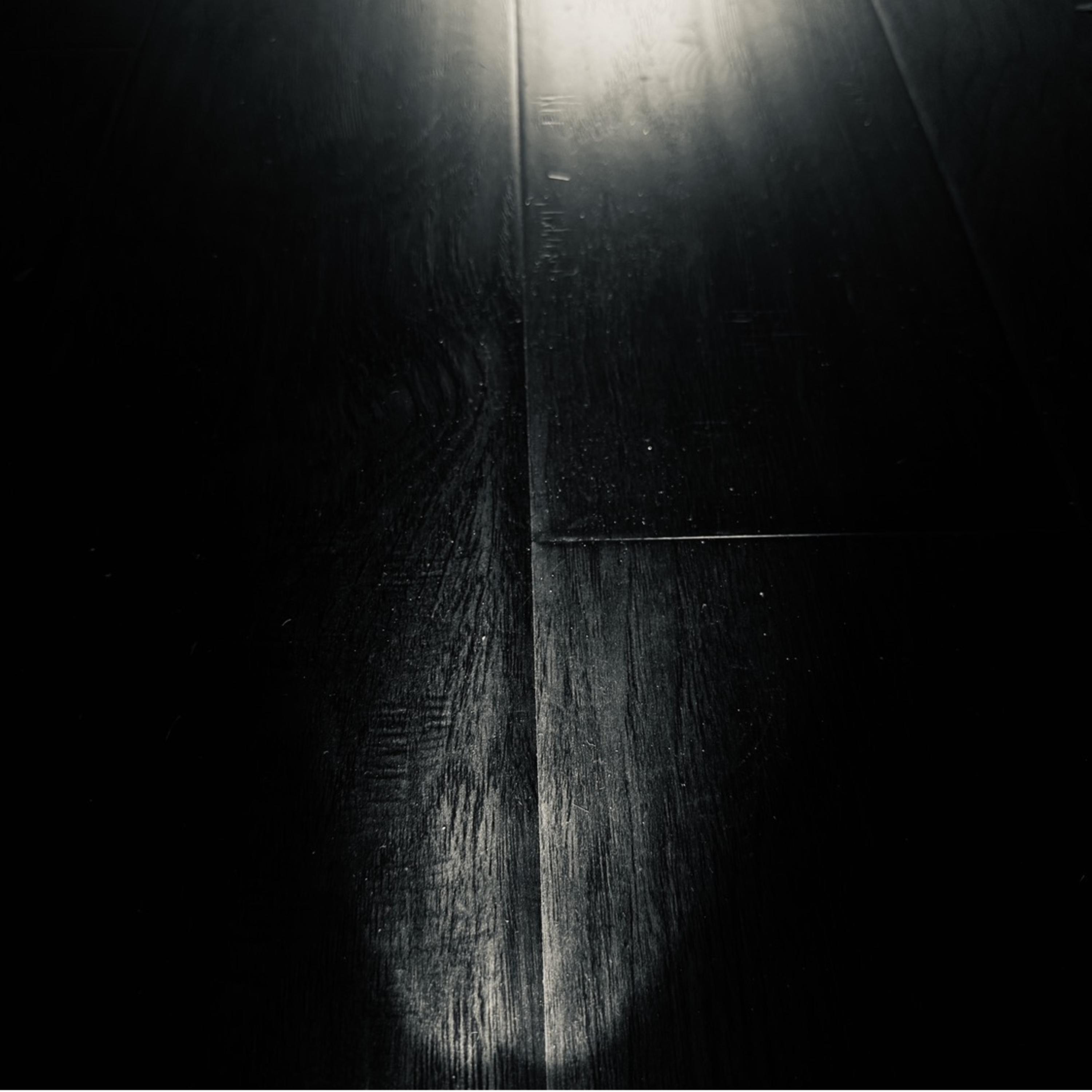 The Song by Duck cover art