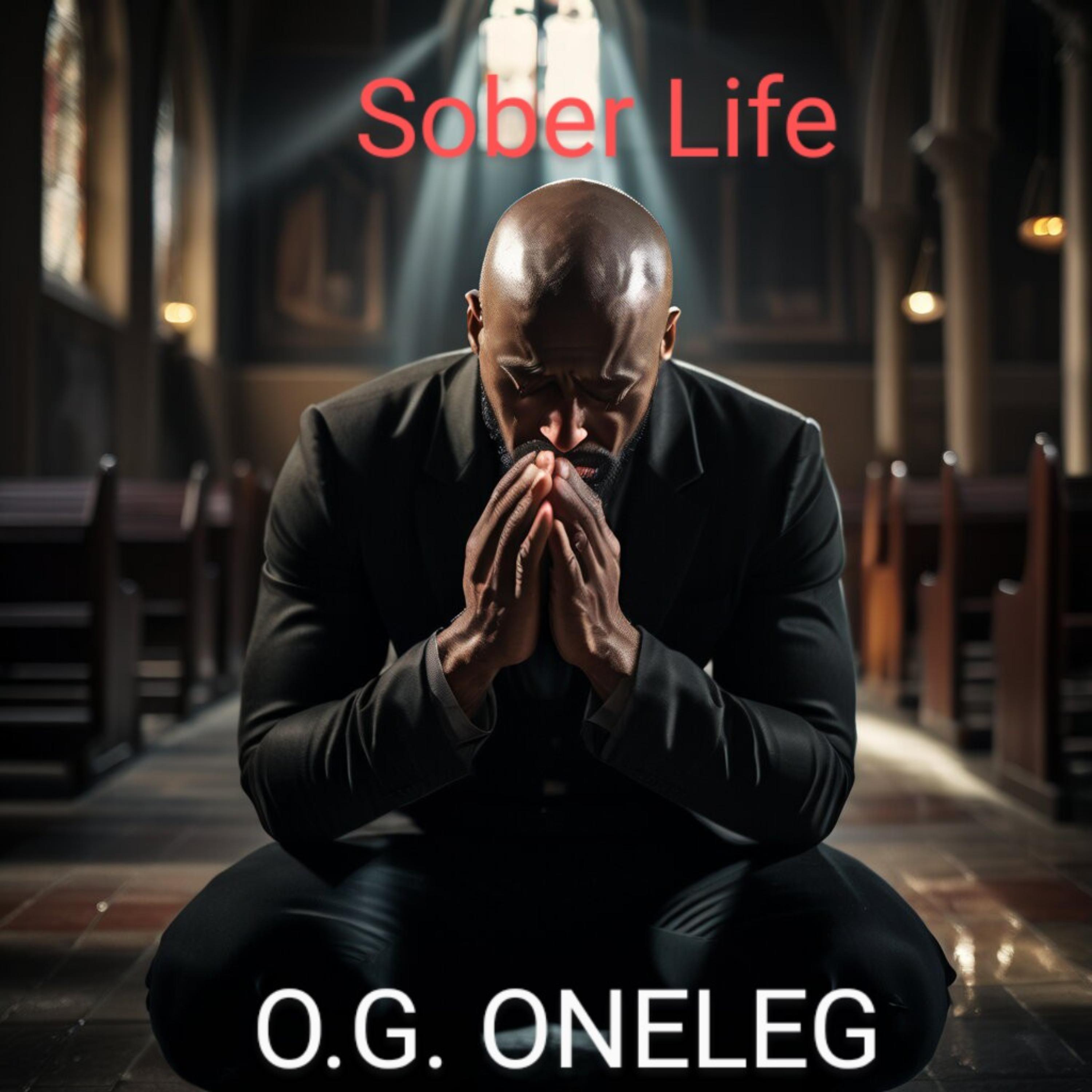 Sober Life artwork