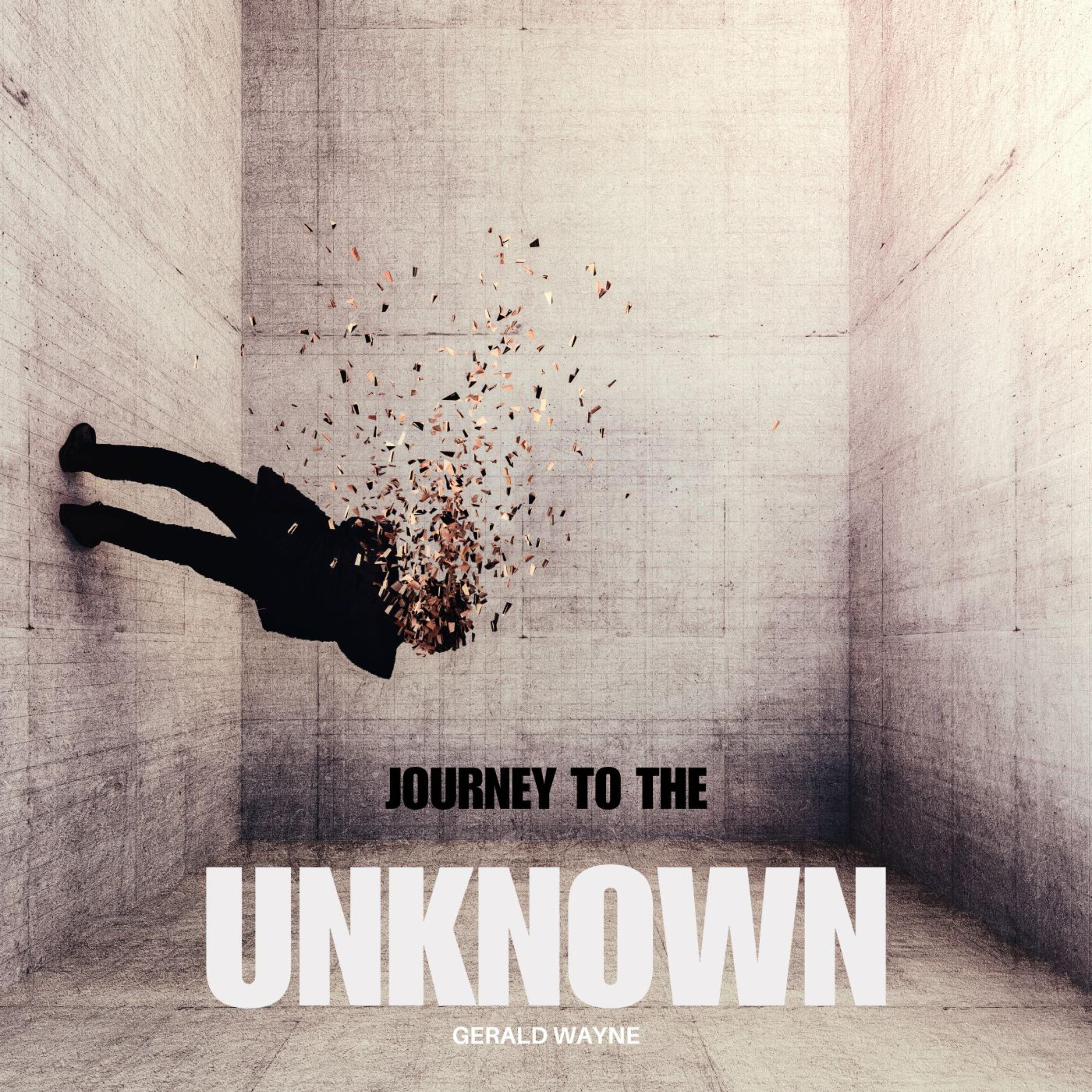 Journey To The Unknown artwork