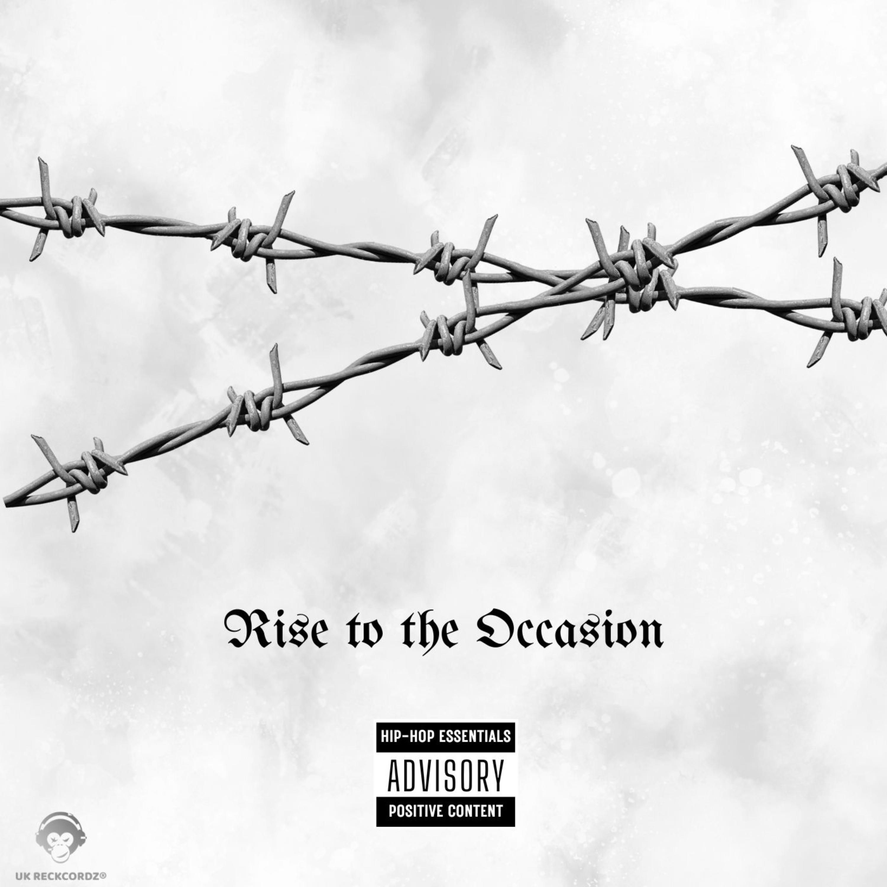Rise to The Occasion artwork