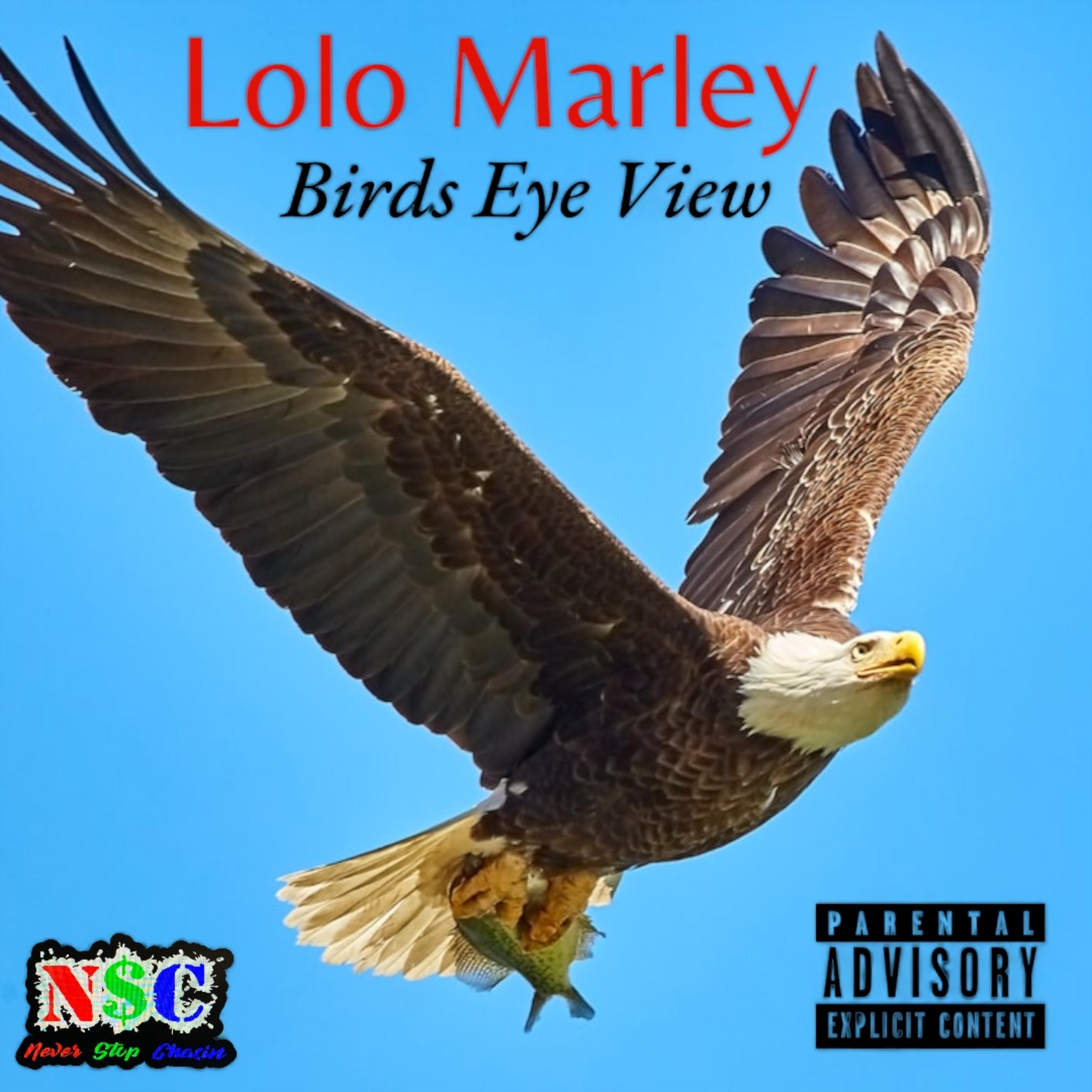 Birds Eye View artwork