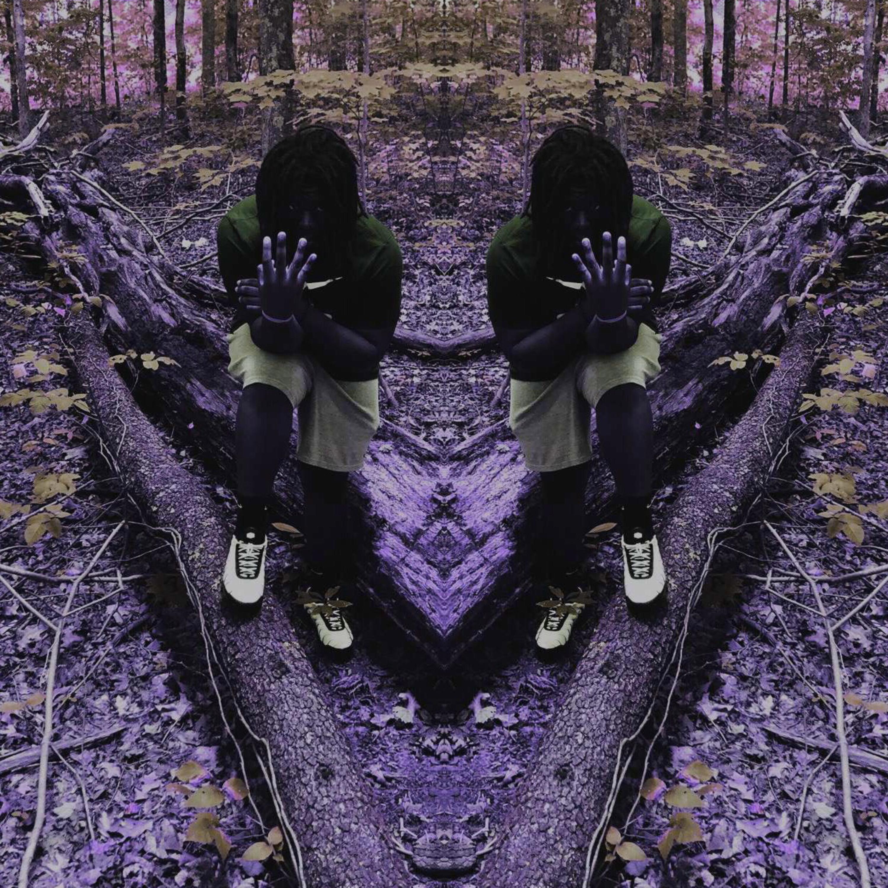 Gorilla Files artwork