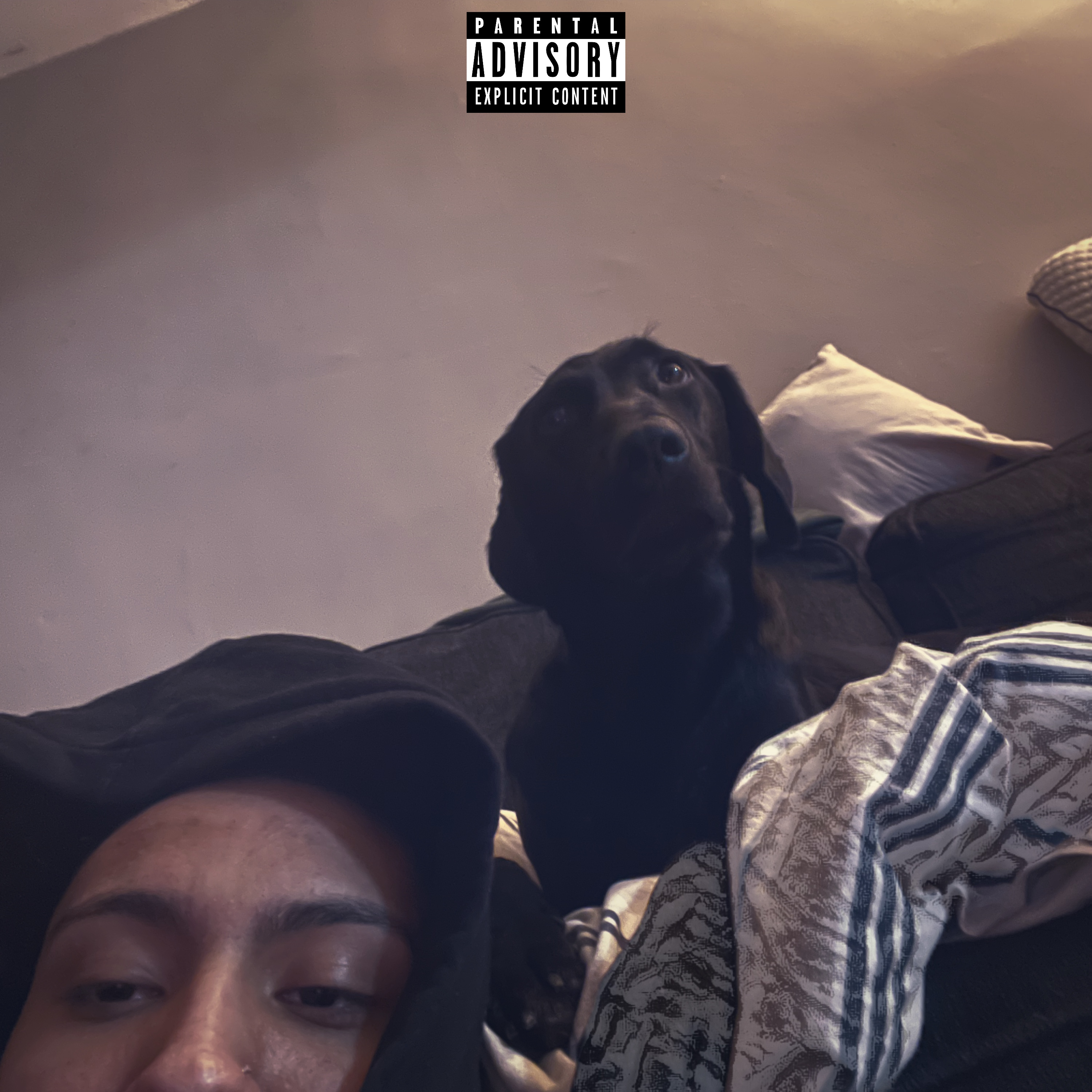 Lost The Love artwork