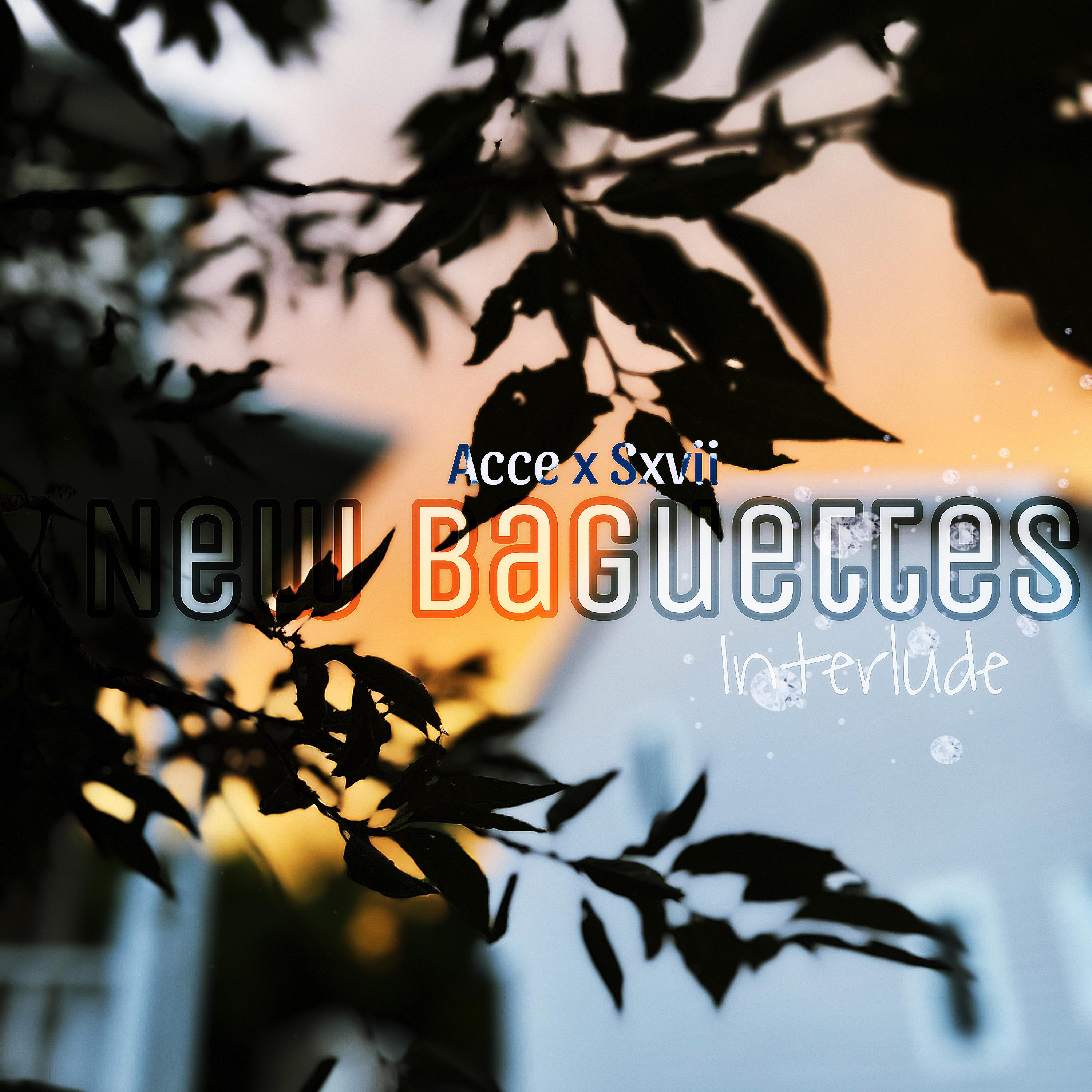 New Baguettes (Interlude) artwork