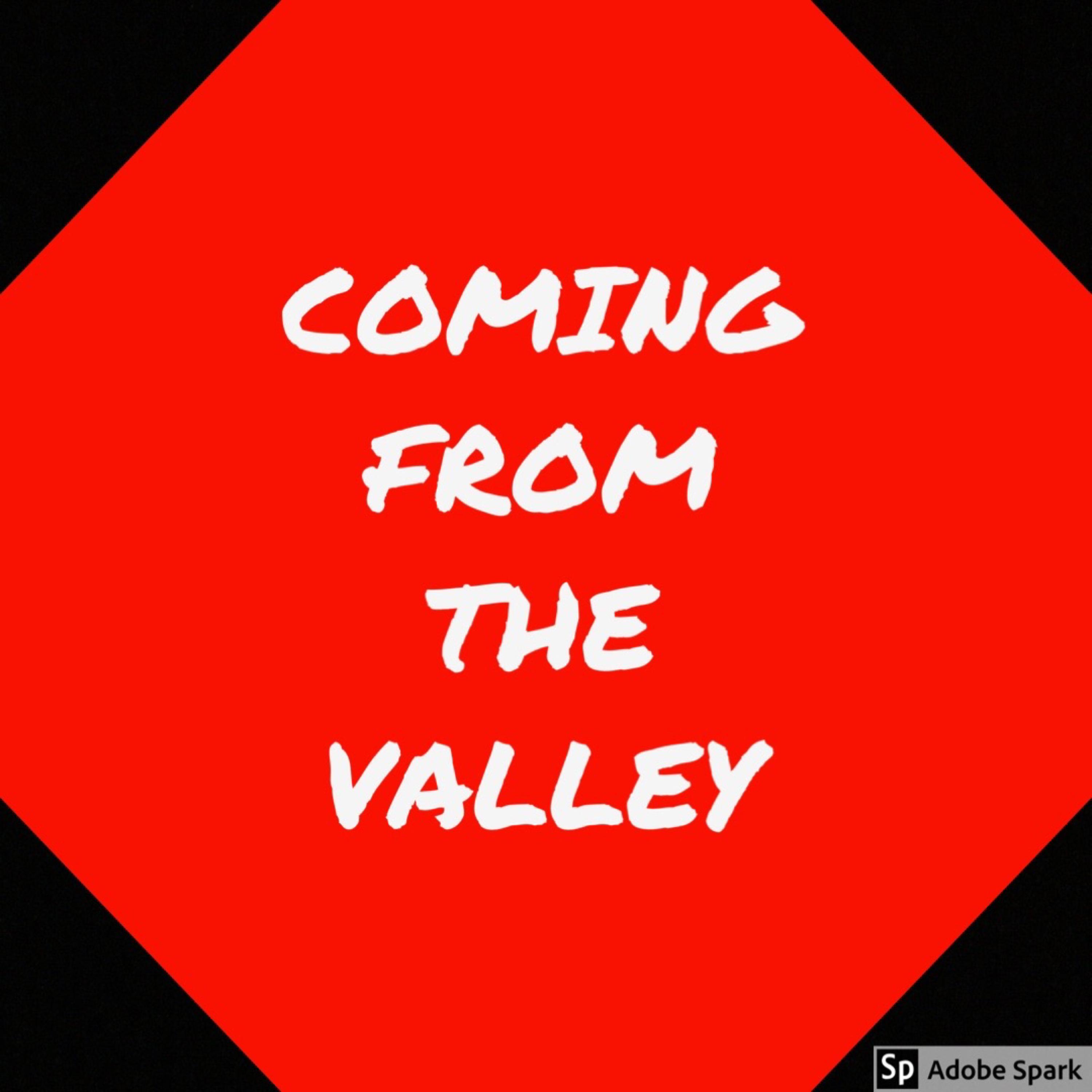 Coming From The Valley artwork