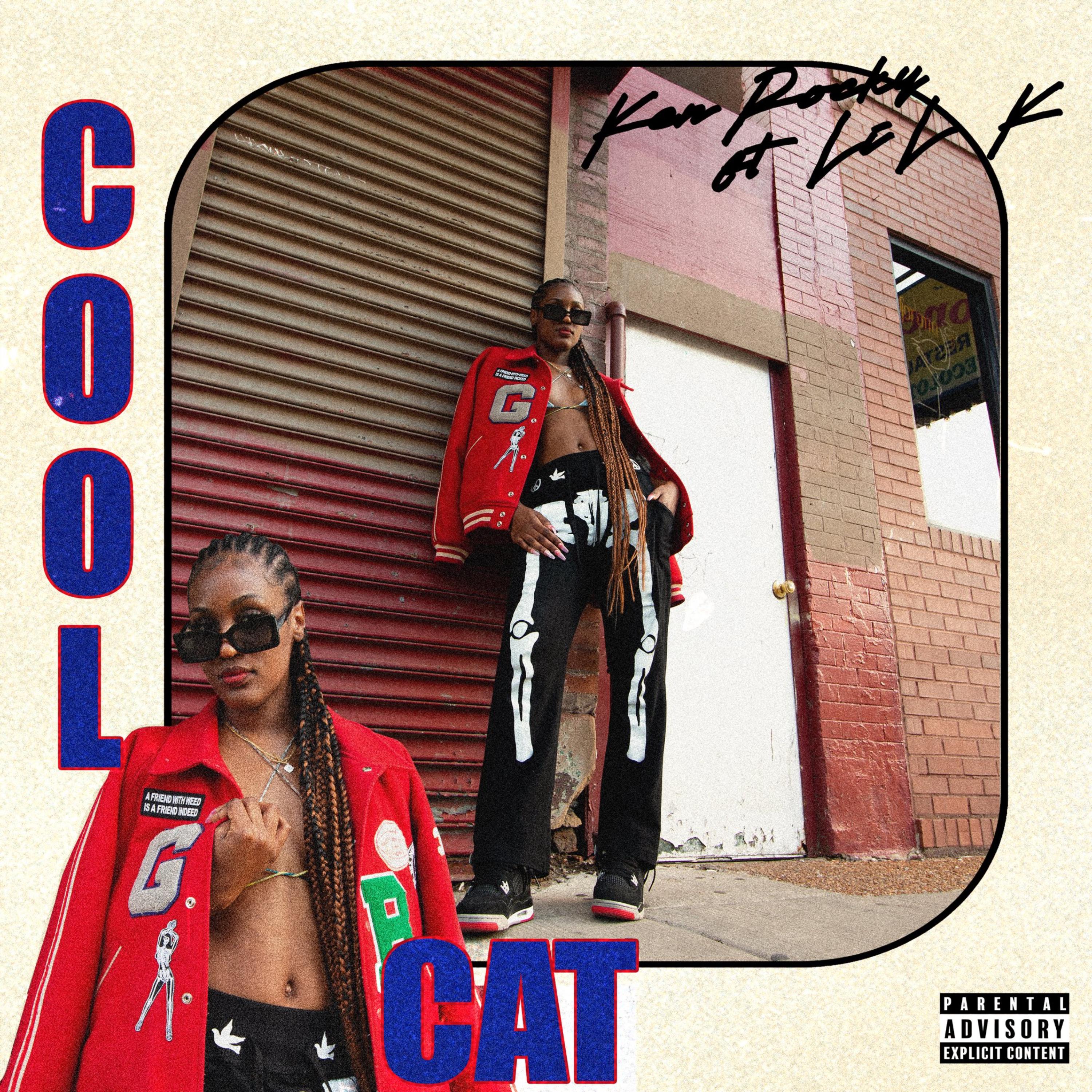 Cool Cat artwork
