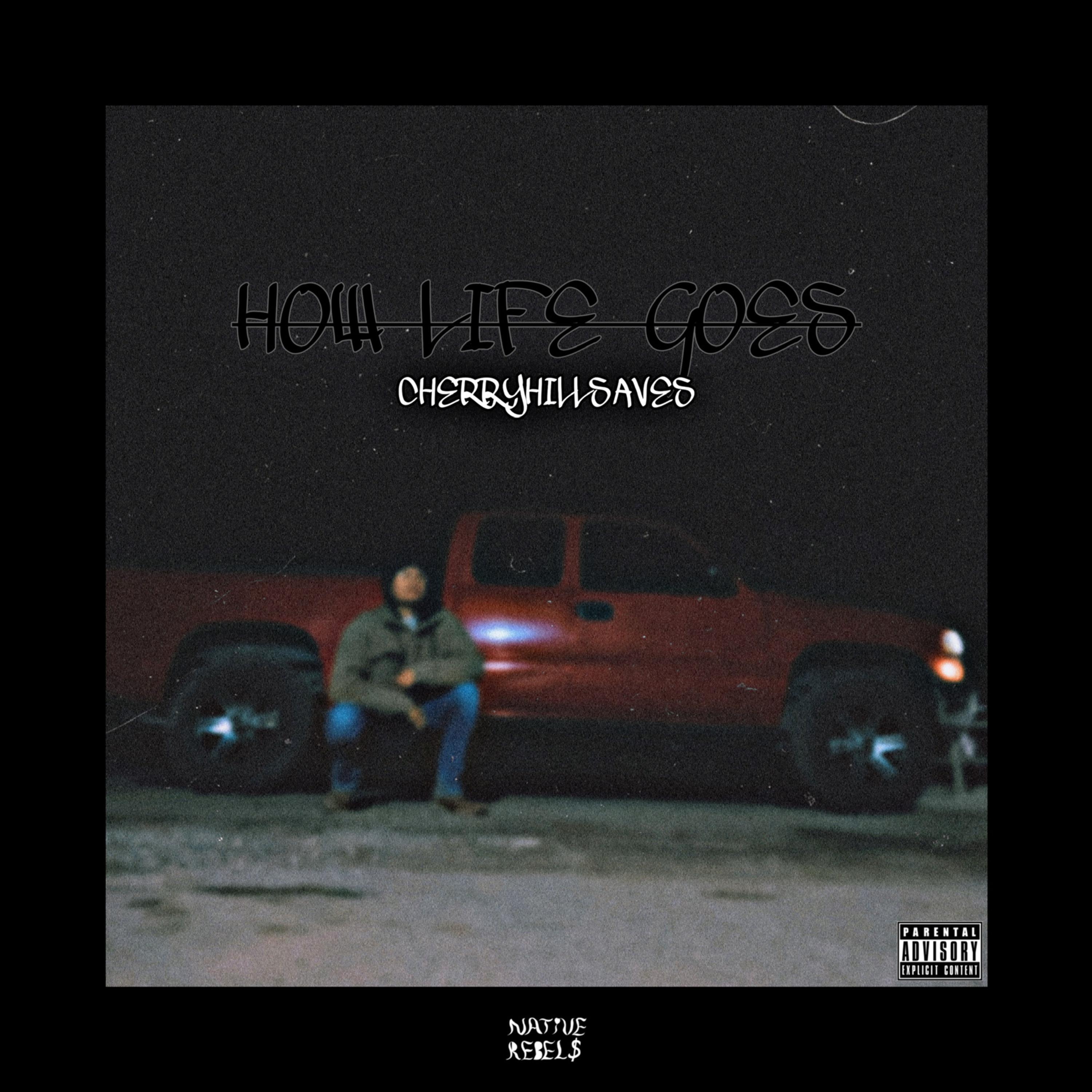 HOW LIFE GOES artwork