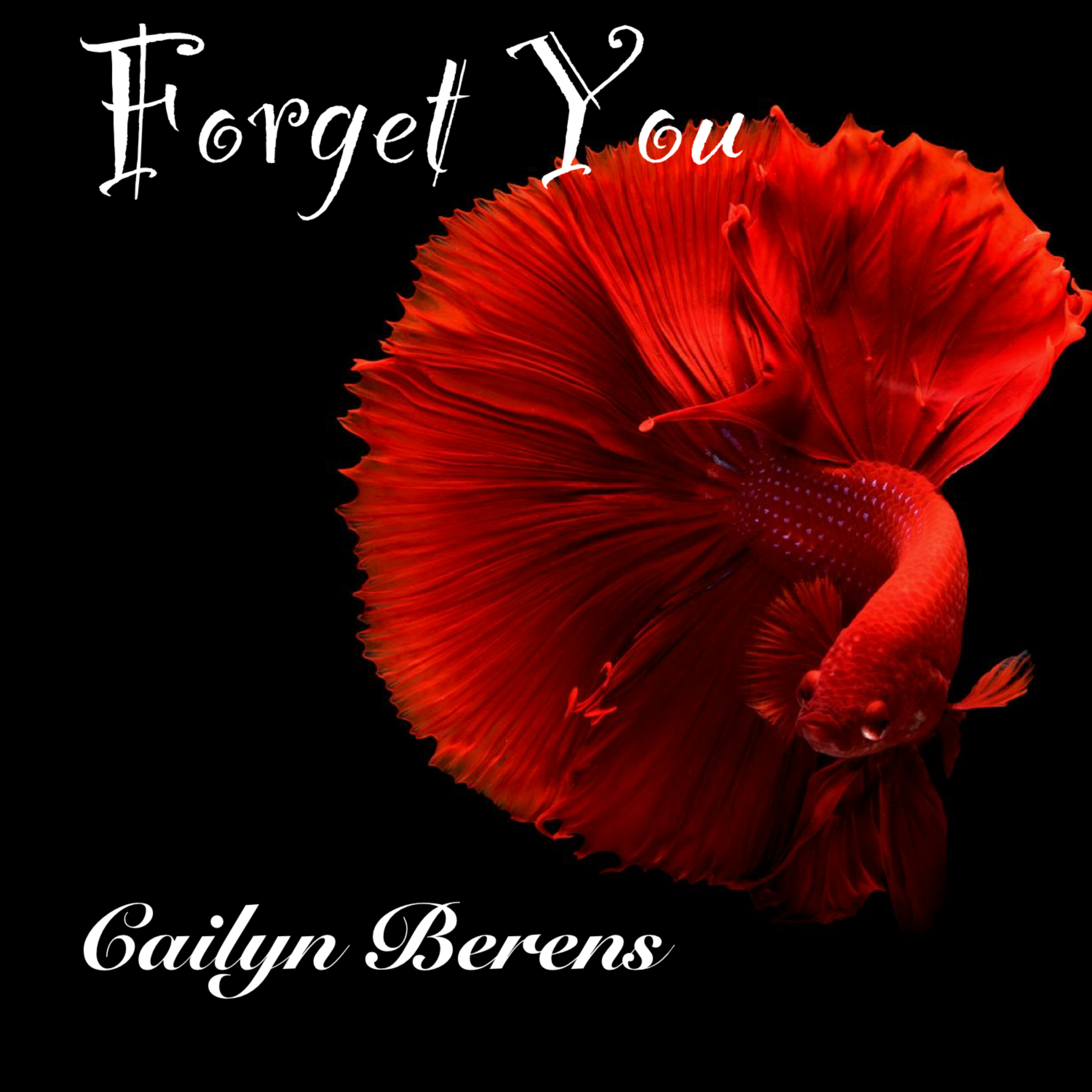 Forget You artwork