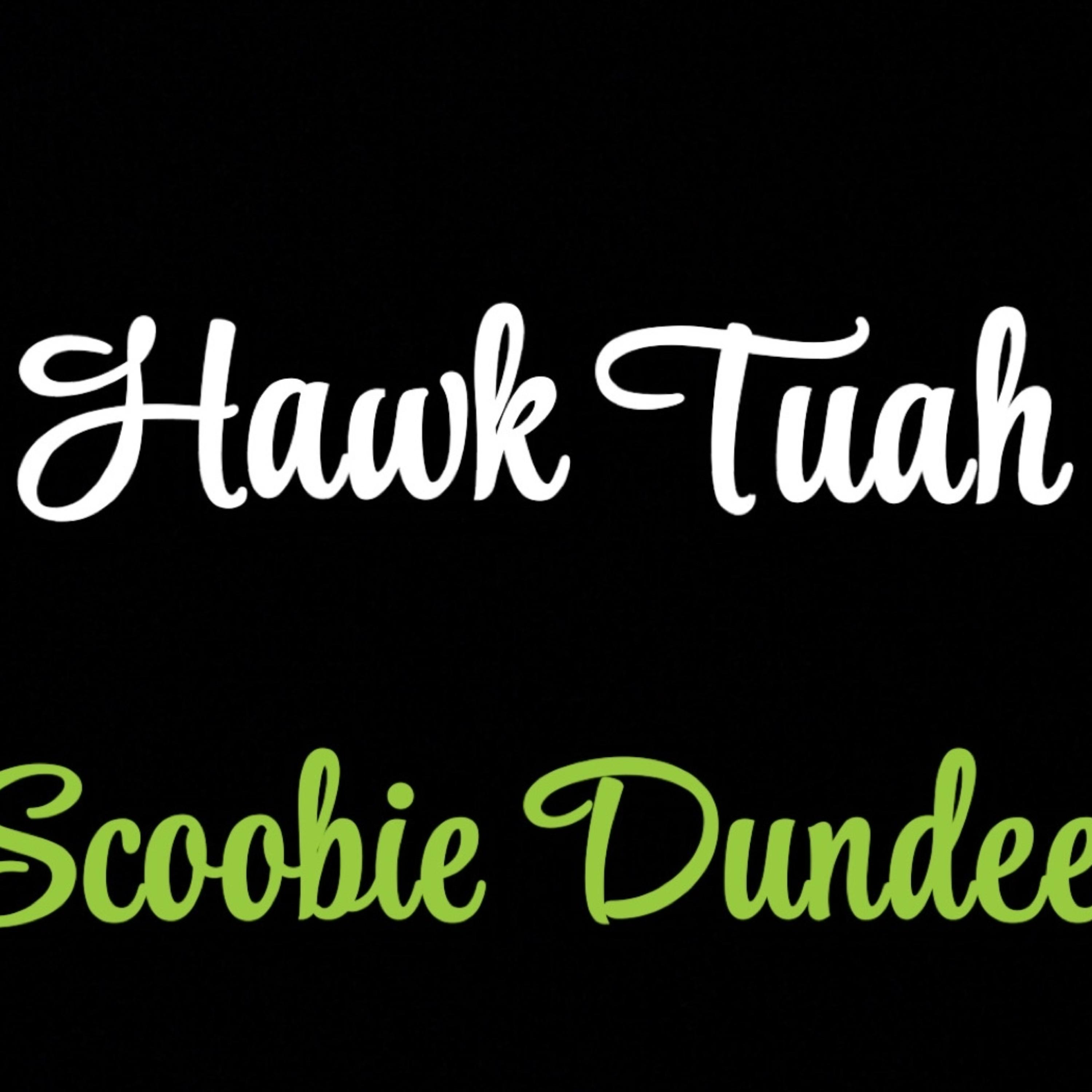 Hawk Tuah artwork