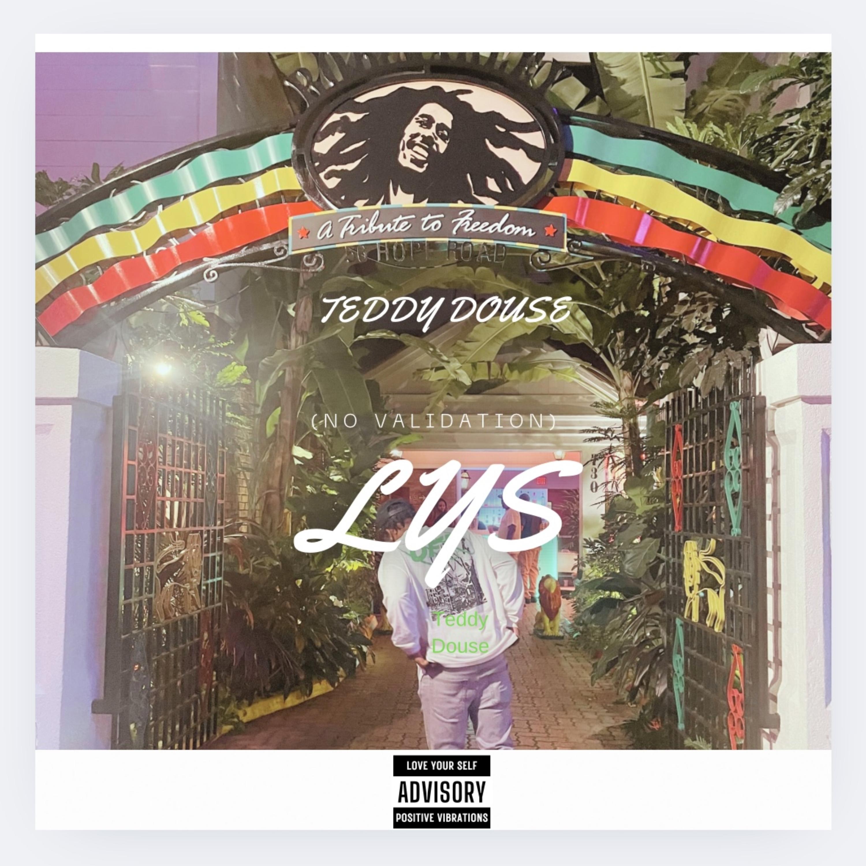 LYS (NO VALIDATION) artwork