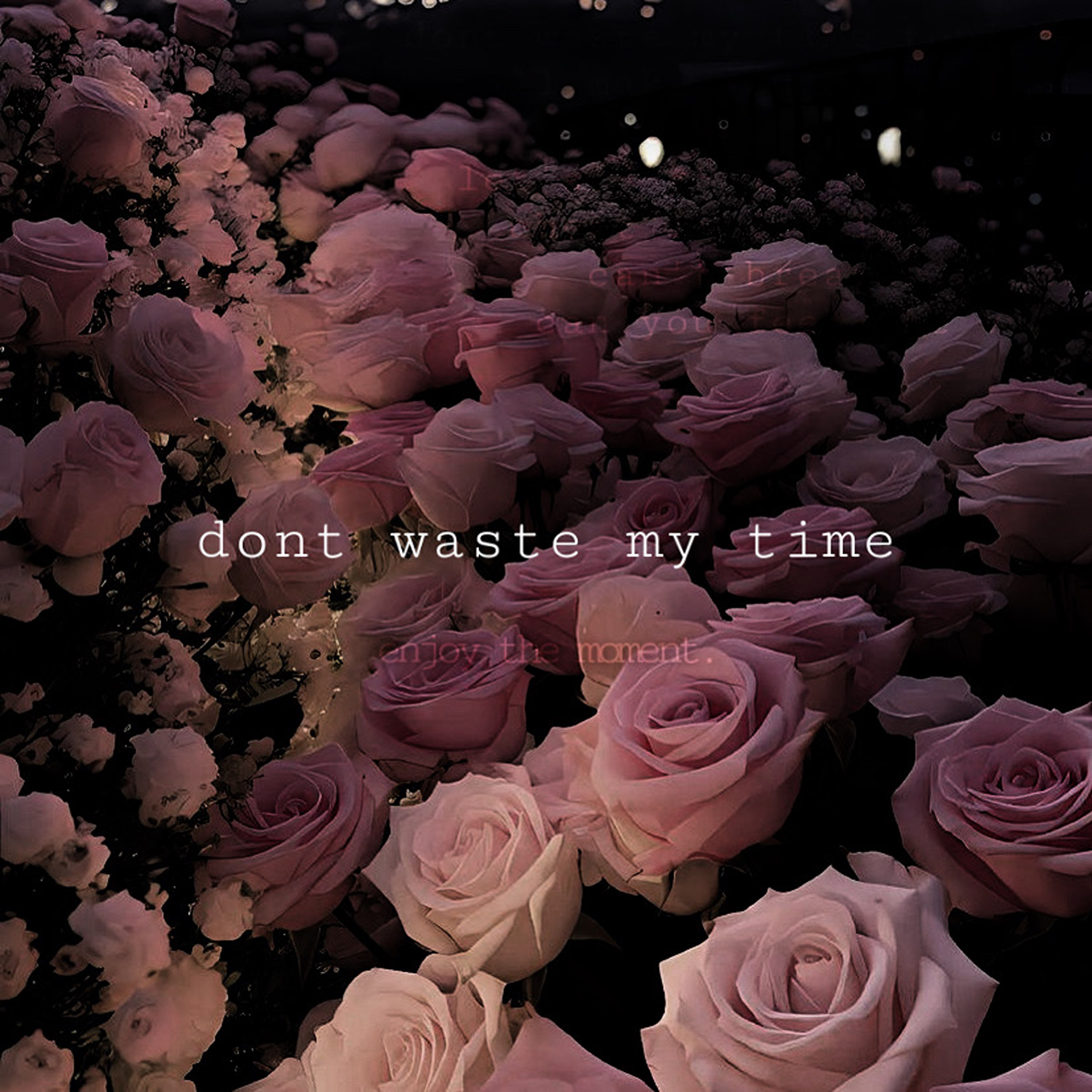 dont waste my time artwork