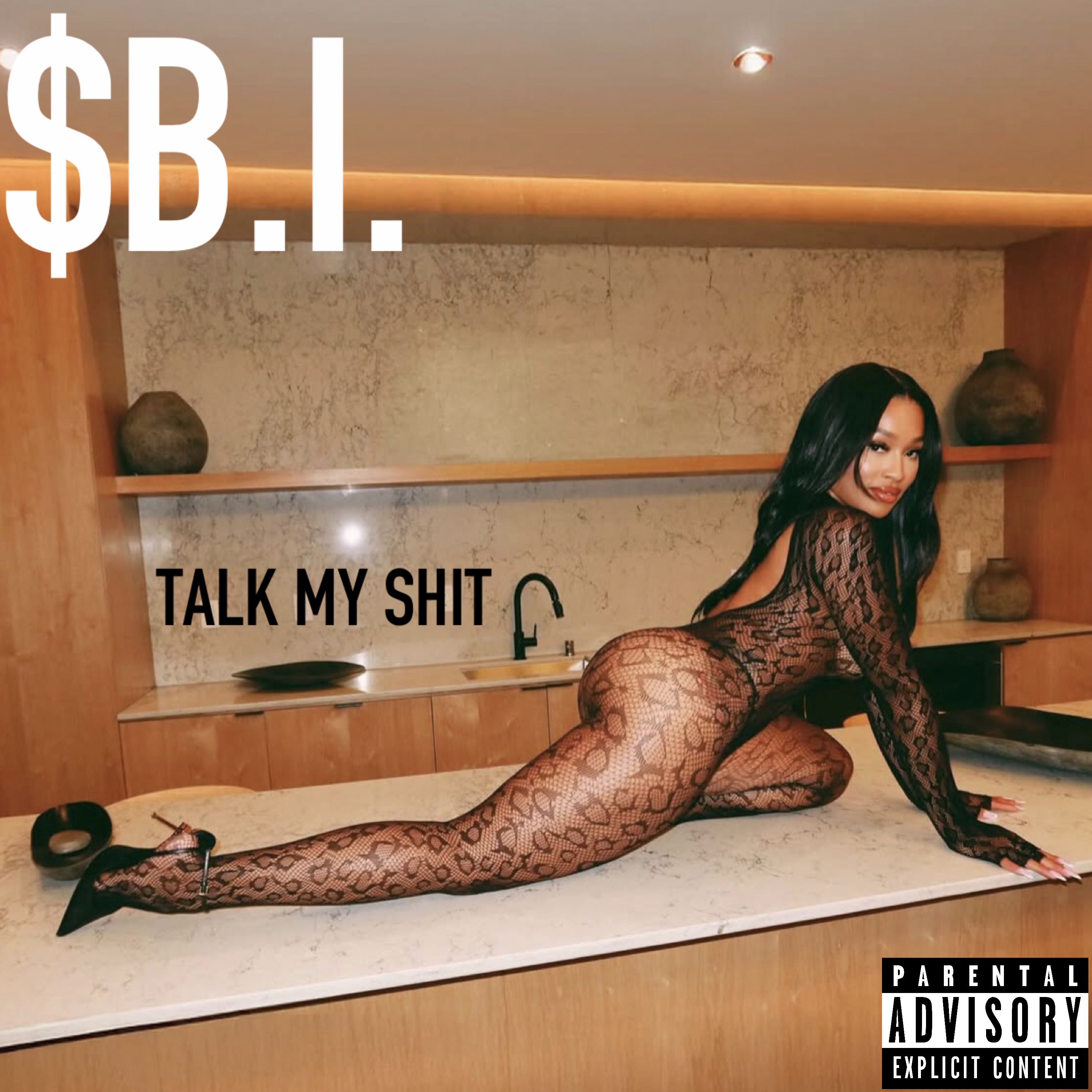 TALK MY SHIT artwork