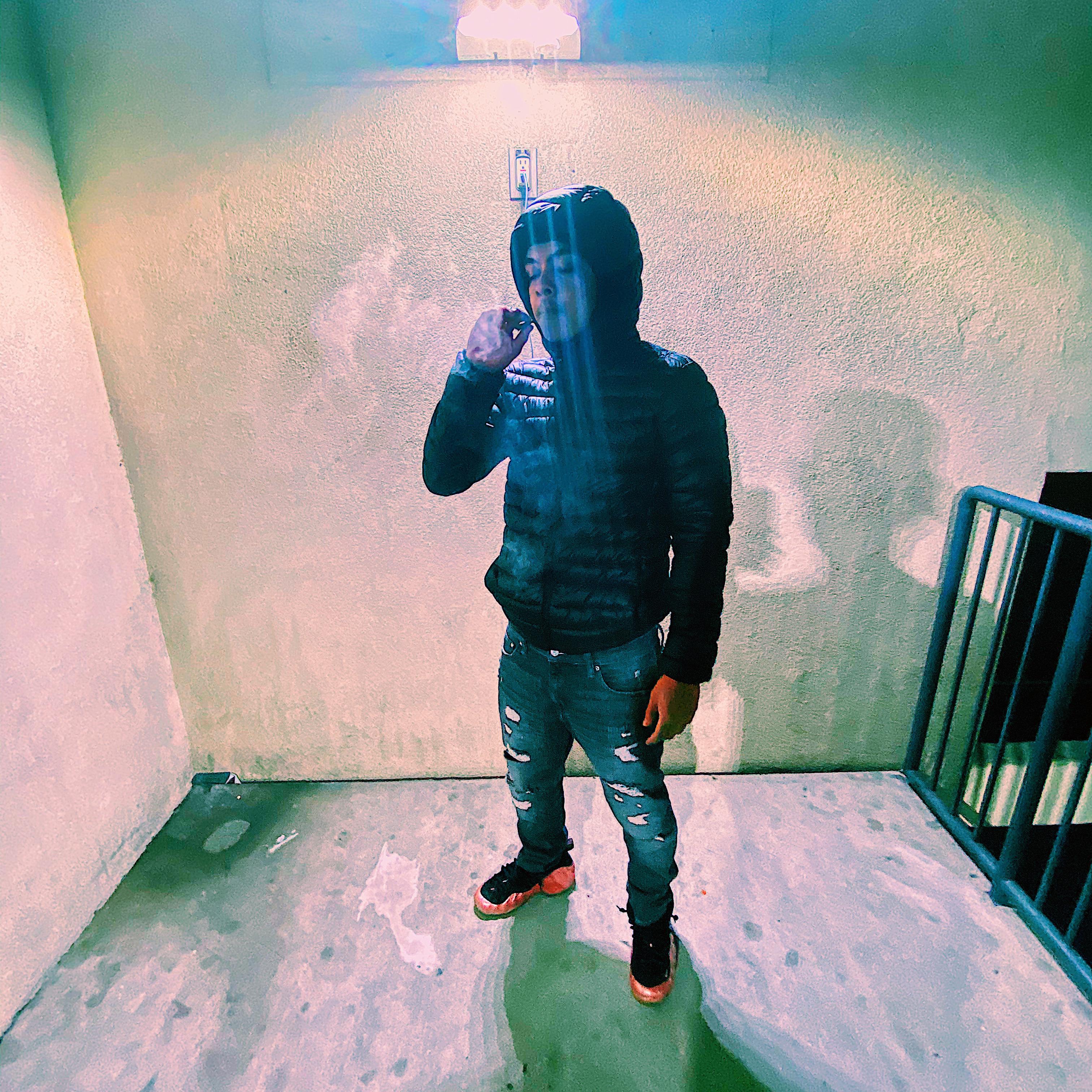 Loyal artwork